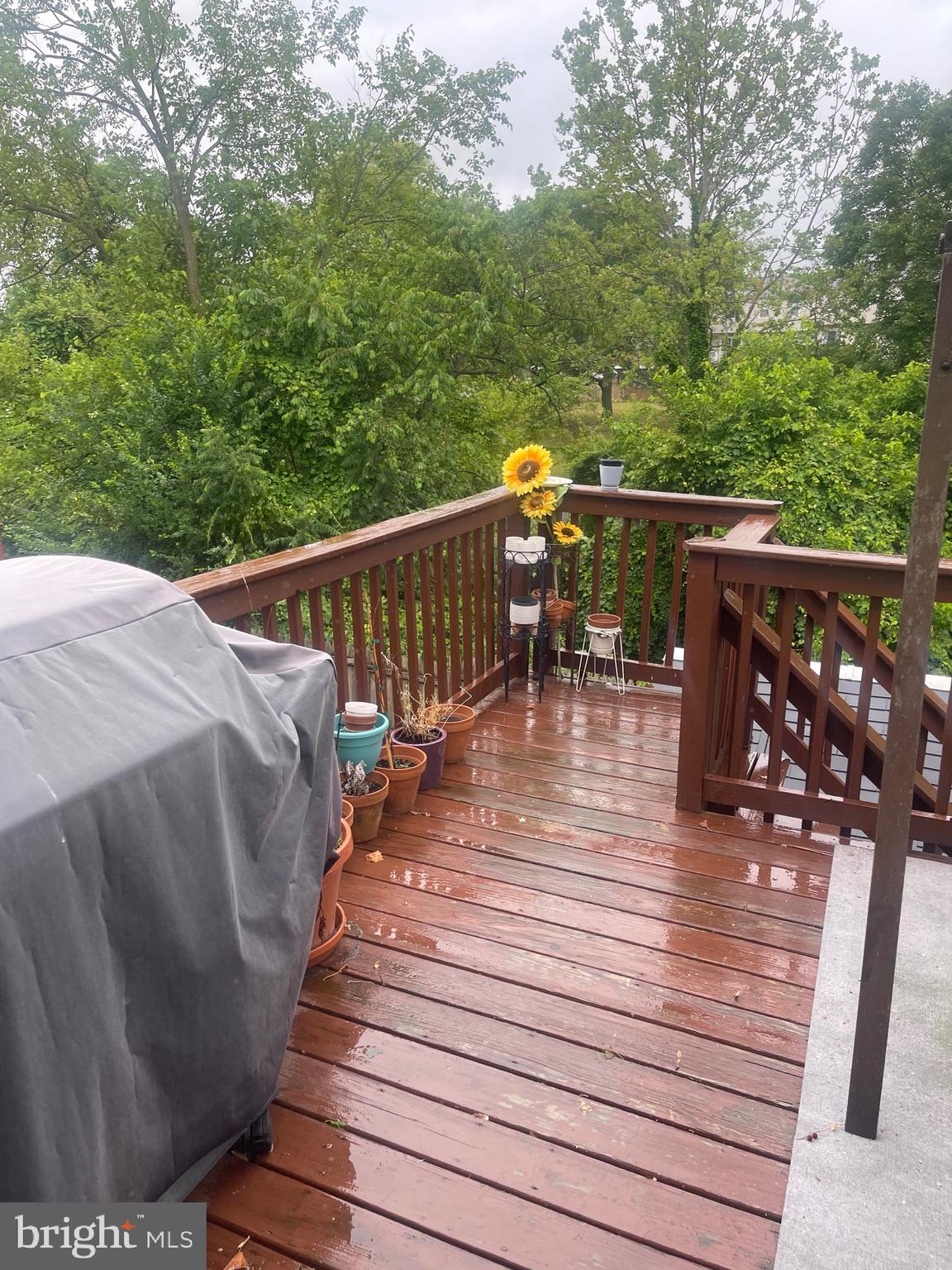 BELMONT - Residential