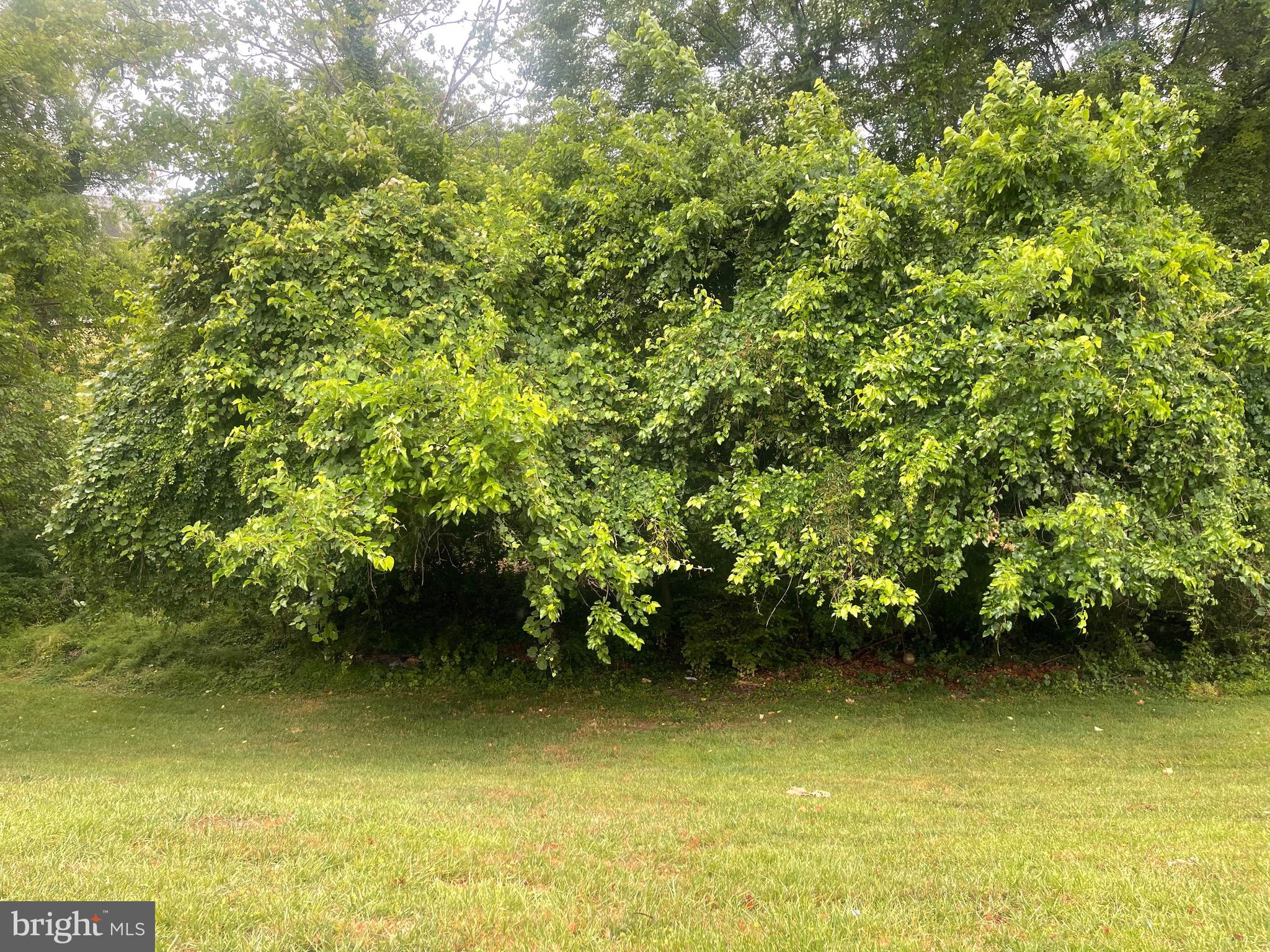 BELMONT - Residential