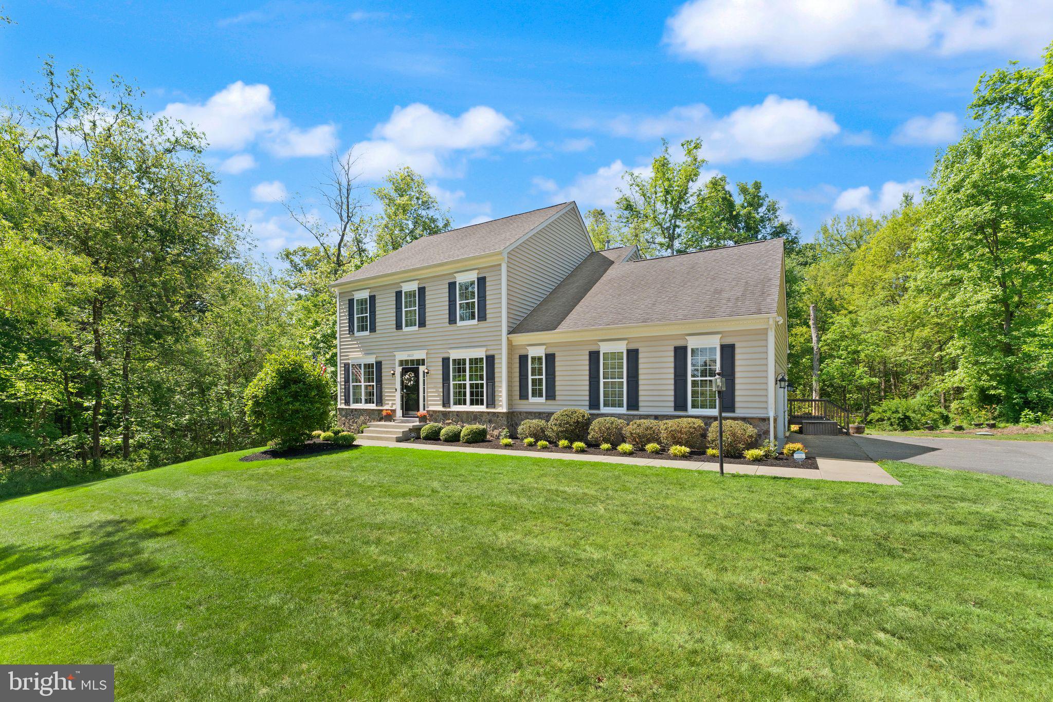 18113 LINDEN GROVE COURT