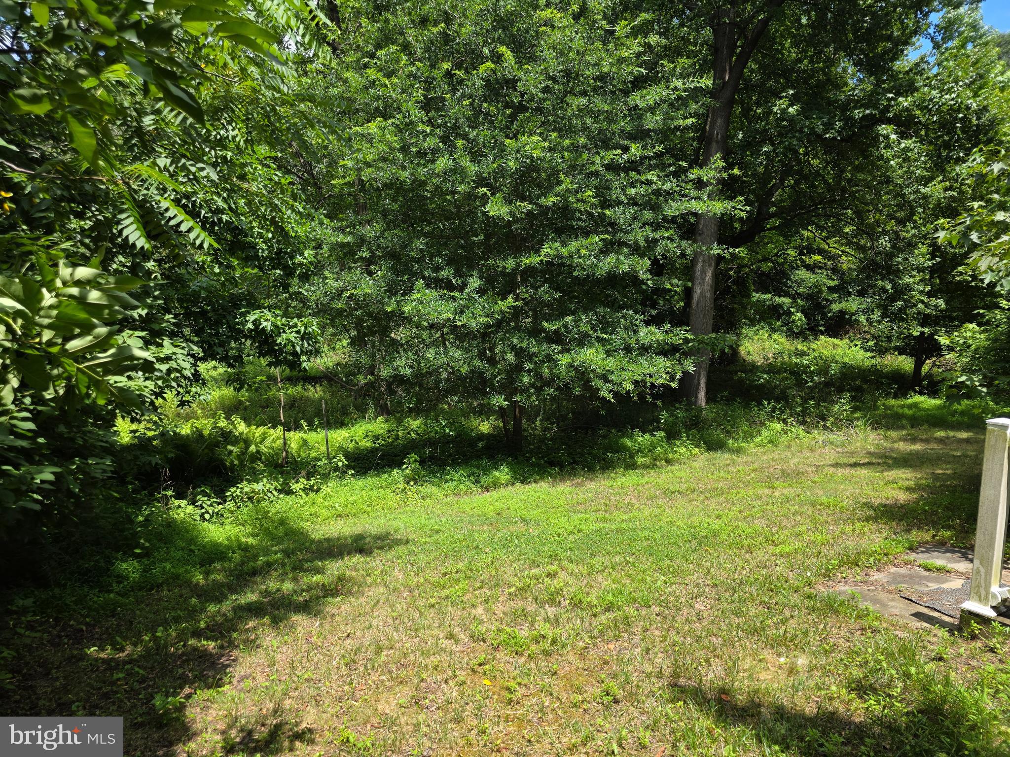301 WESTERLY DRIVE