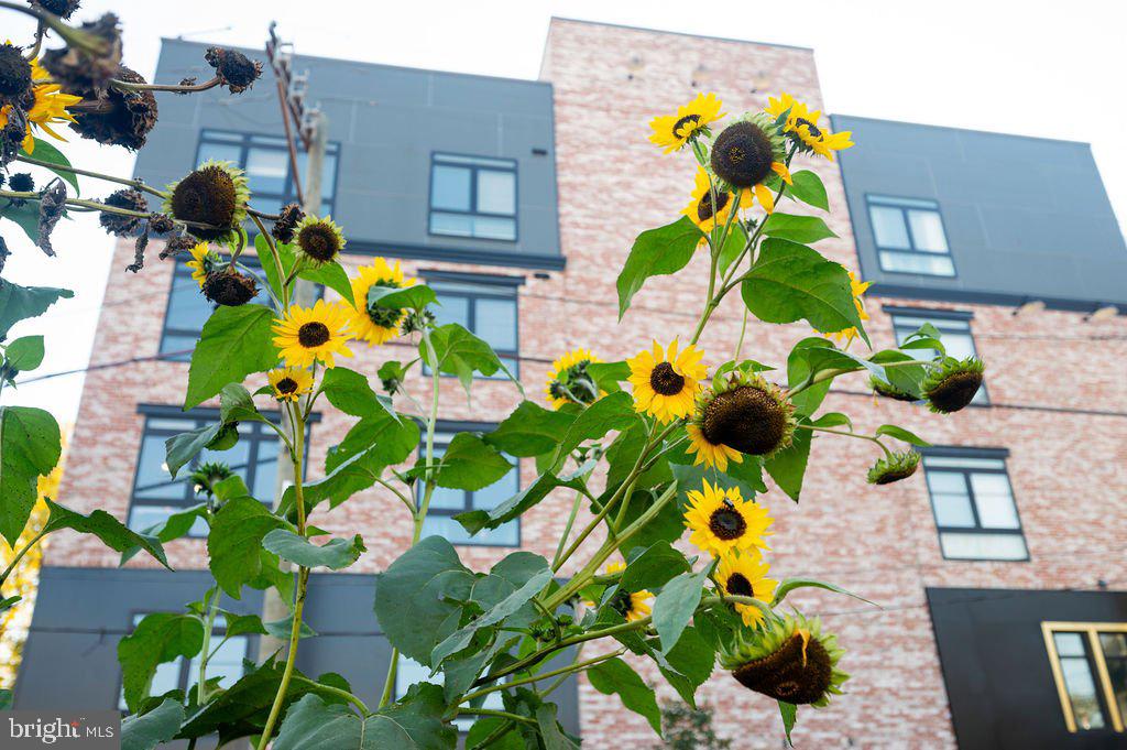 EAST FALLS - Residential