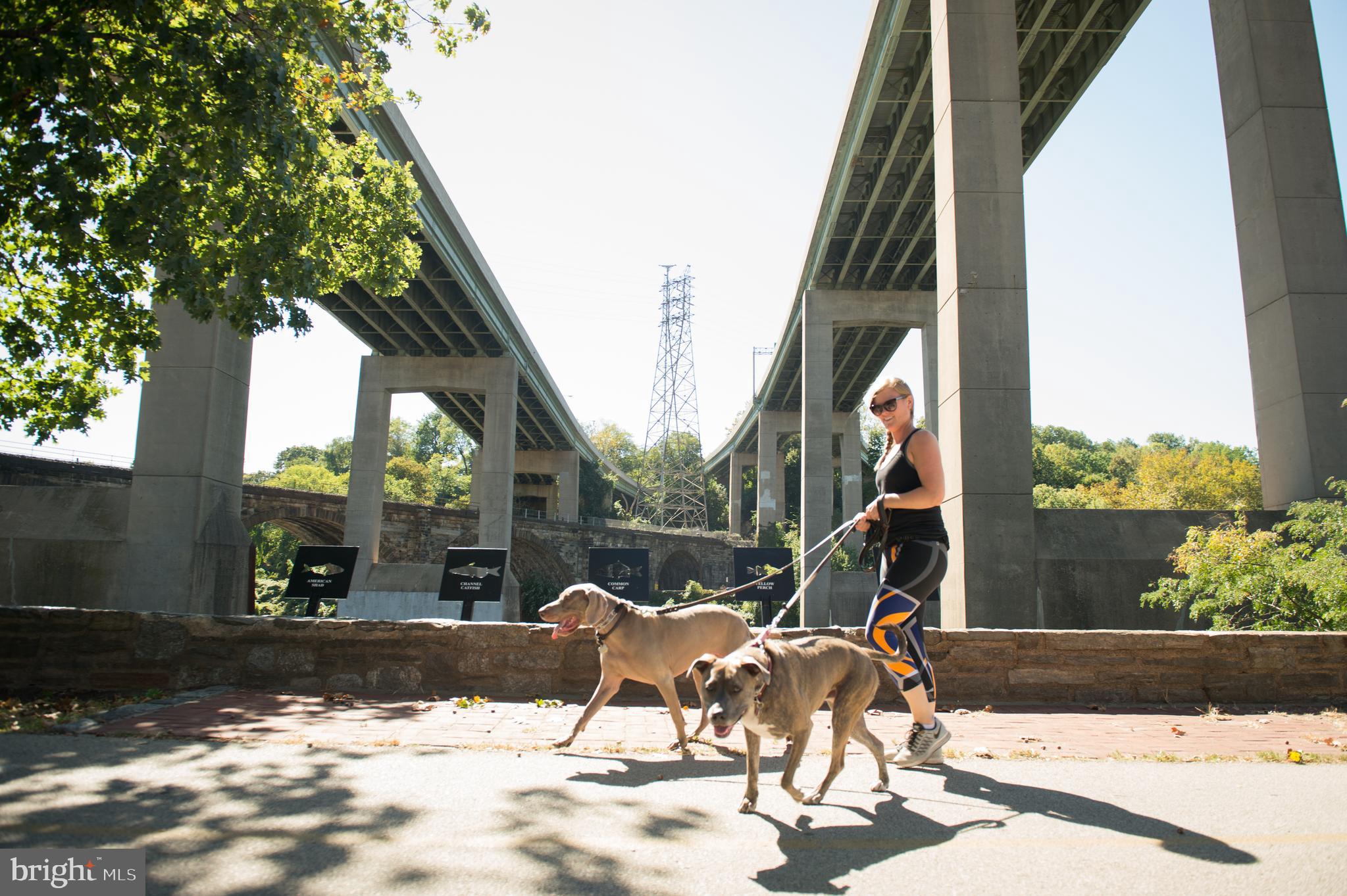 EAST FALLS - Residential