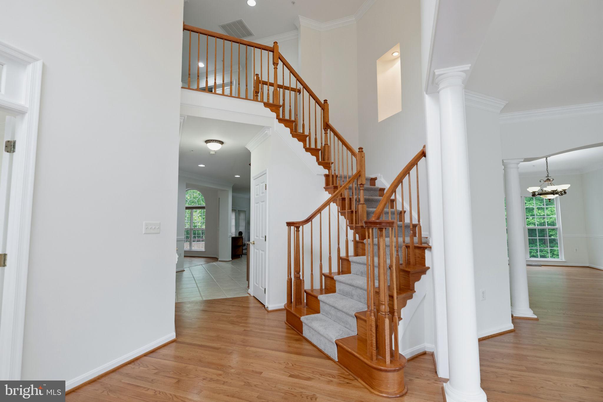 6602 GREEN BRANCH LANE