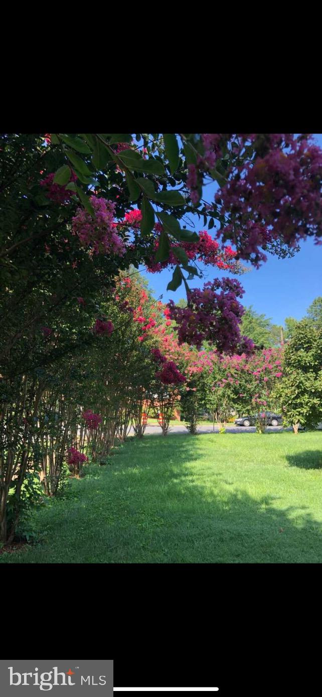 NORTH SPRINGFIELD - Residential Lease