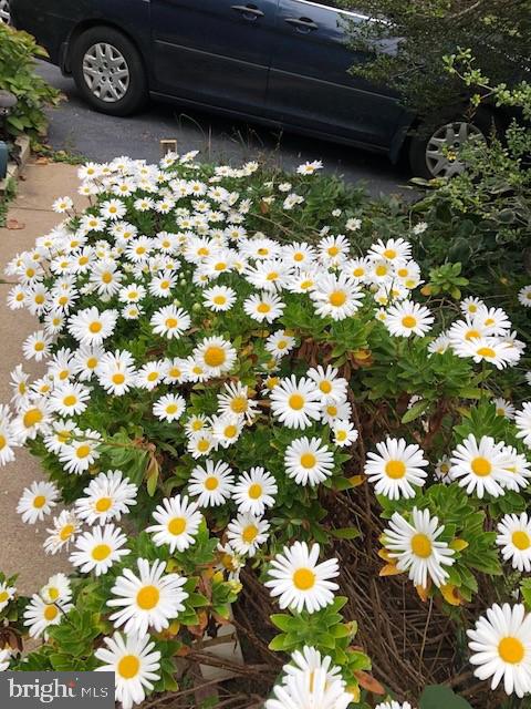 NORTH SPRINGFIELD - Residential Lease