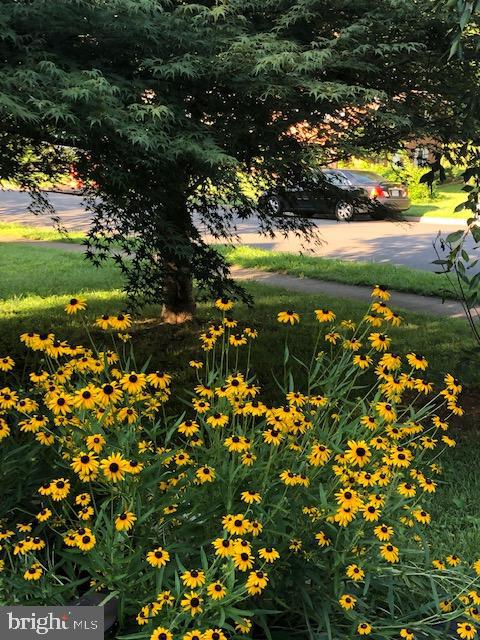 NORTH SPRINGFIELD - Residential Lease