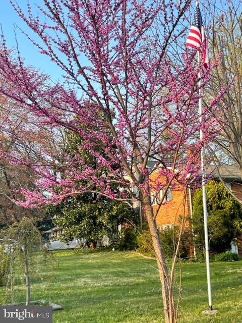 NORTH SPRINGFIELD - Residential Lease