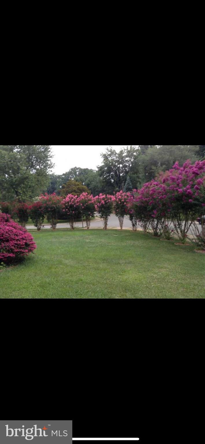 NORTH SPRINGFIELD - Residential Lease