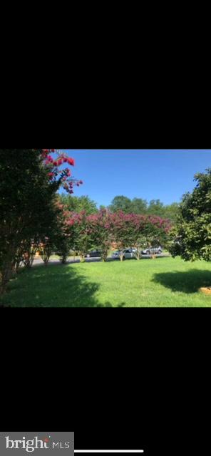 NORTH SPRINGFIELD - Residential Lease