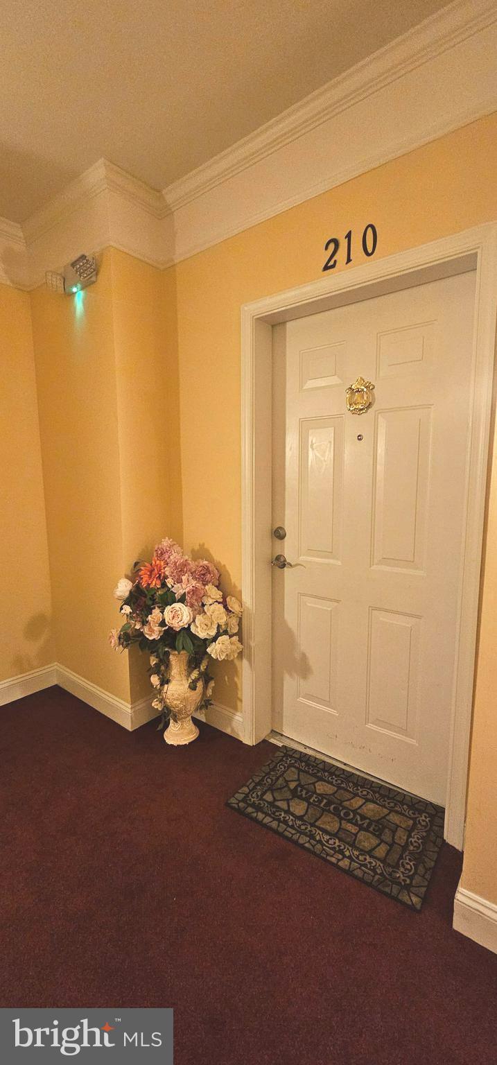 13601 BELLE CHASSE BOULEVARD 210