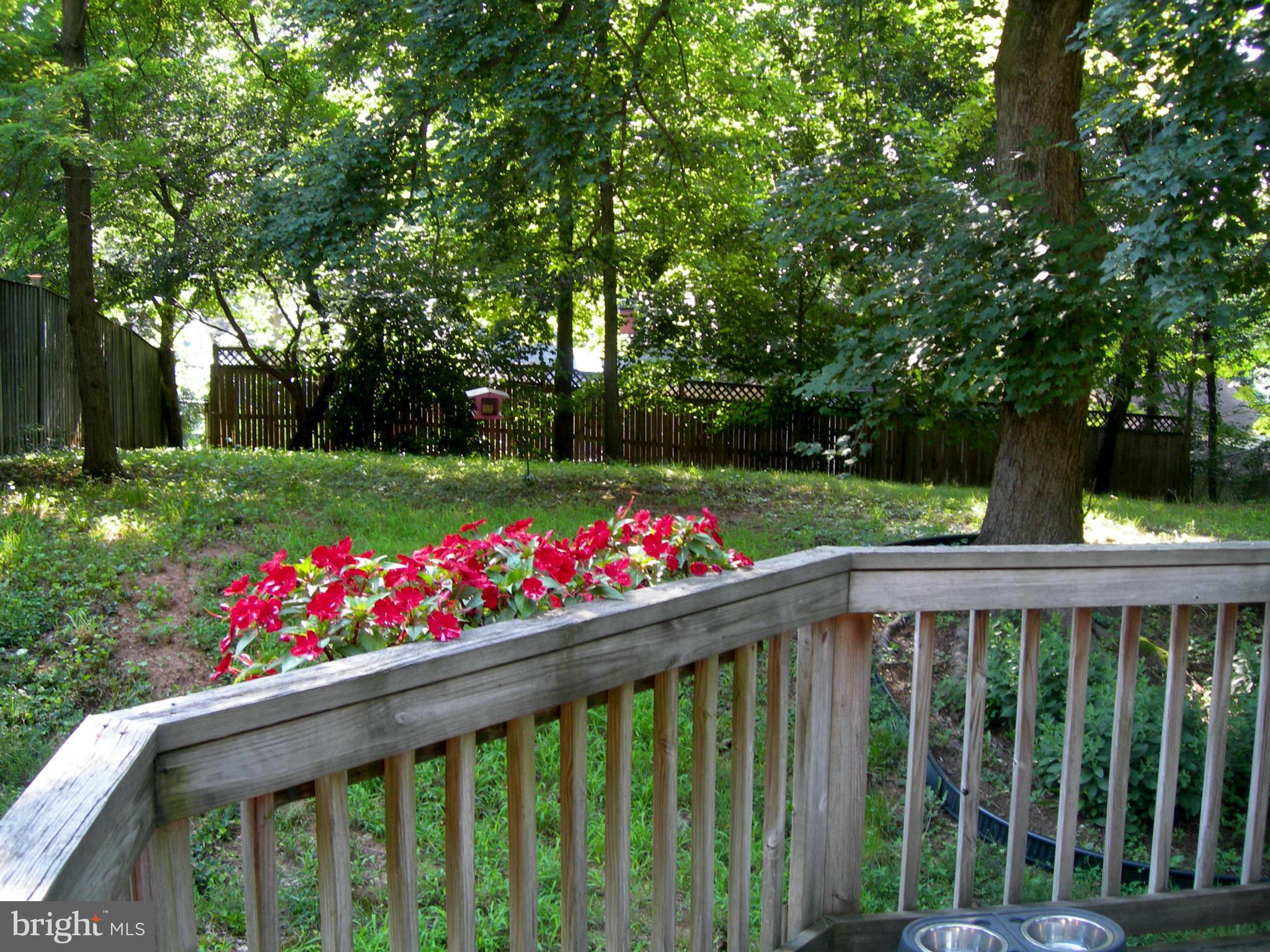 CAPE ST CLAIRE - Residential