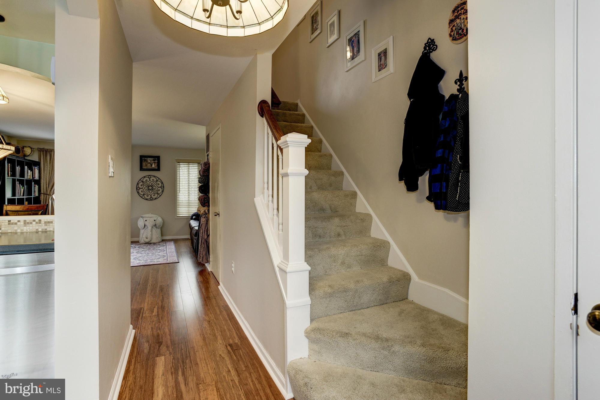 CHESTNUT HILLS - Residential