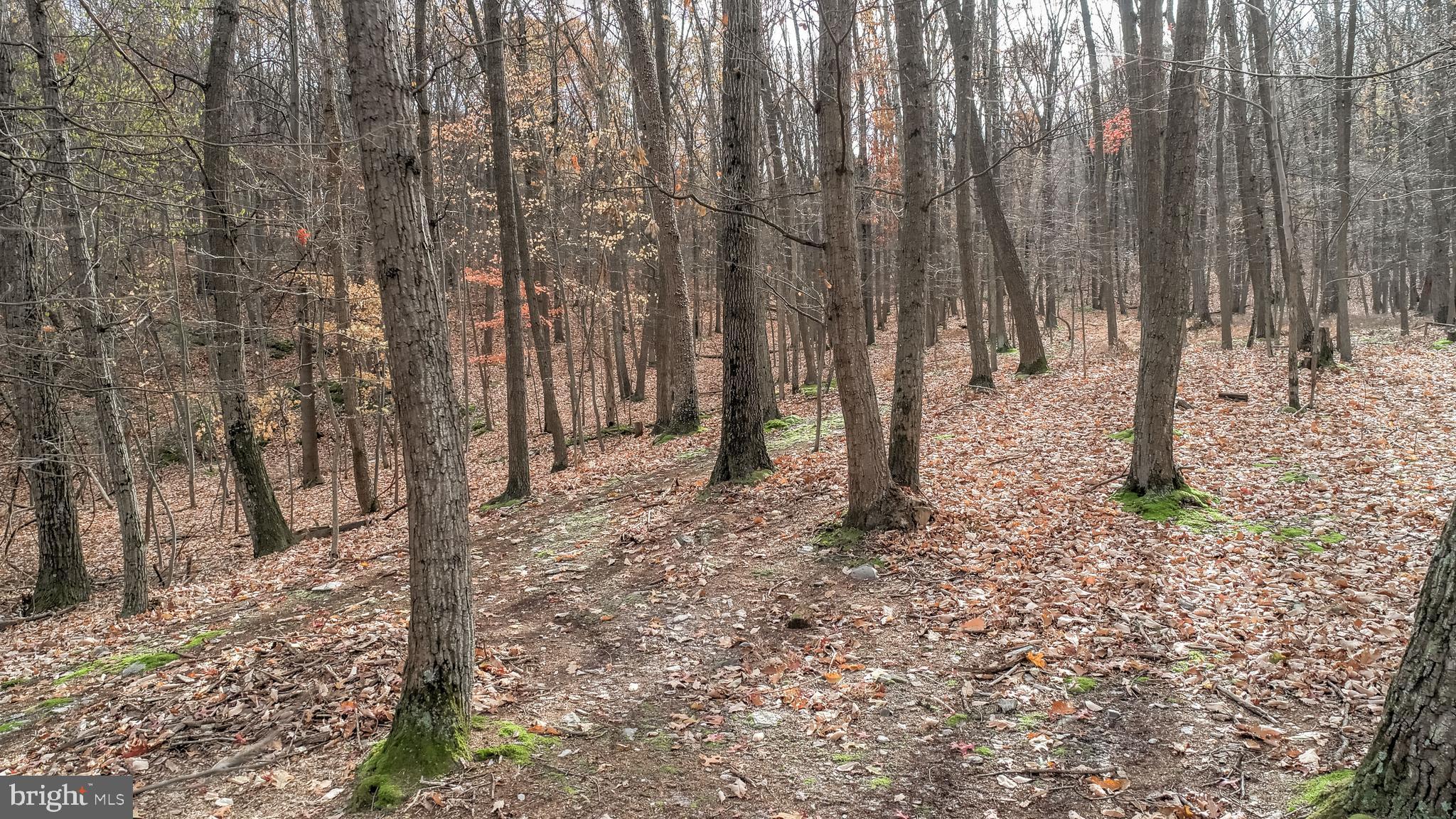 WHITE ROCK ACRES - Residential