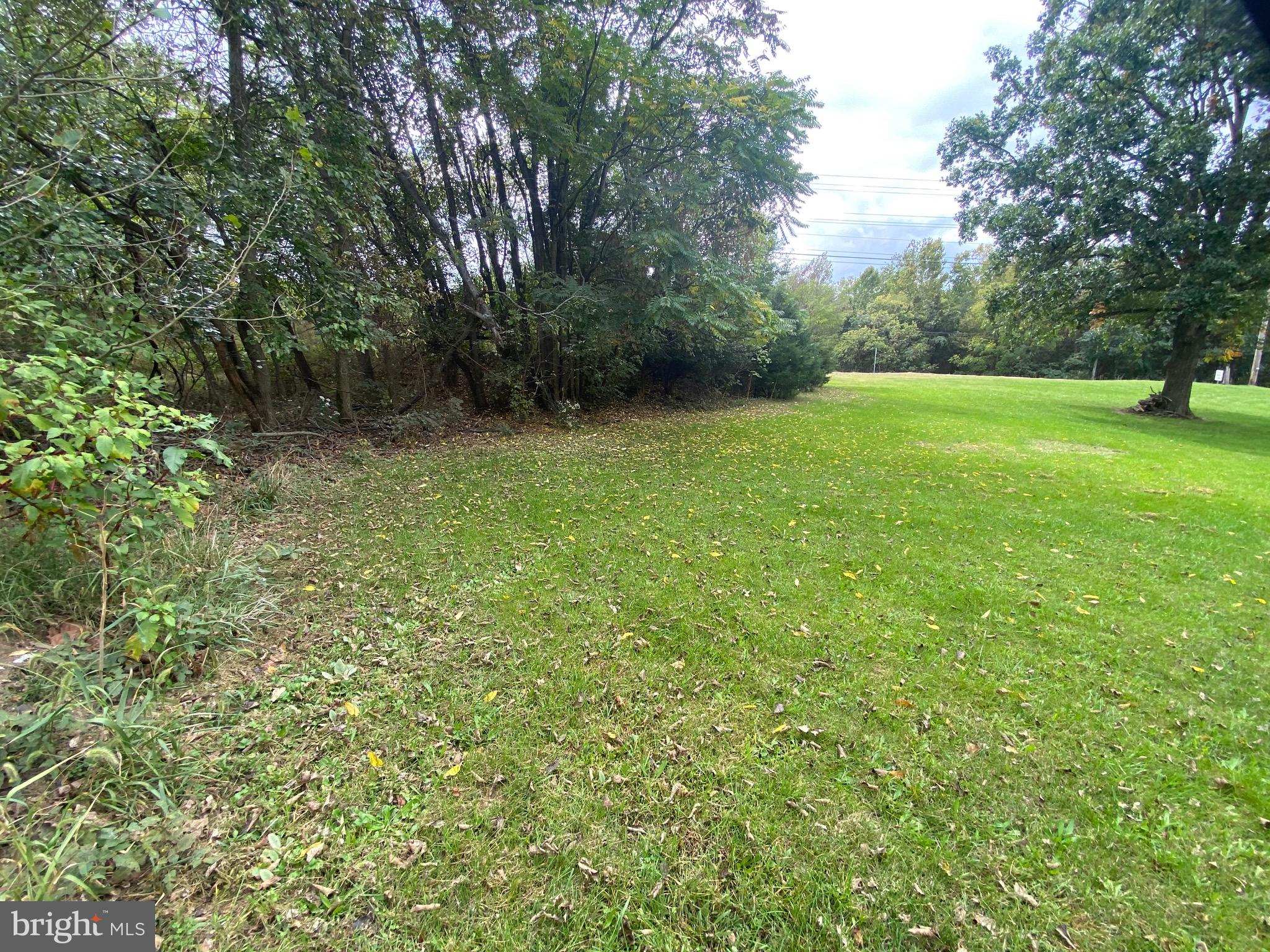 APPLE TREE FARMS - Residential