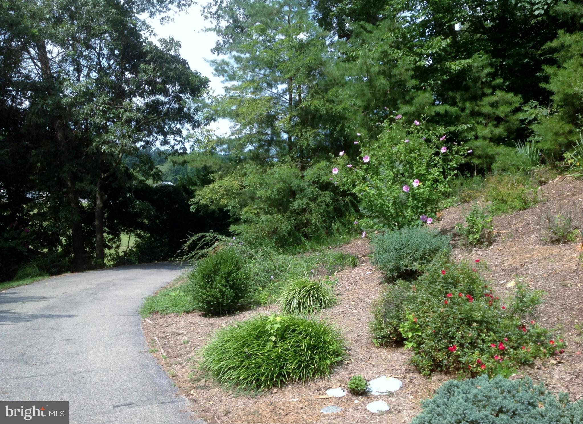 SWANSON CREEK LANDING SU - Residential