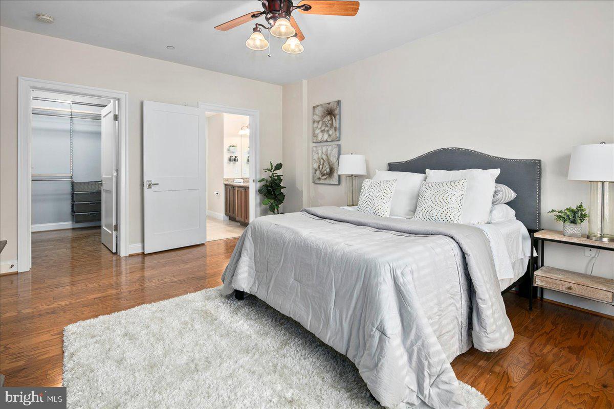 CLARENDON - Residential