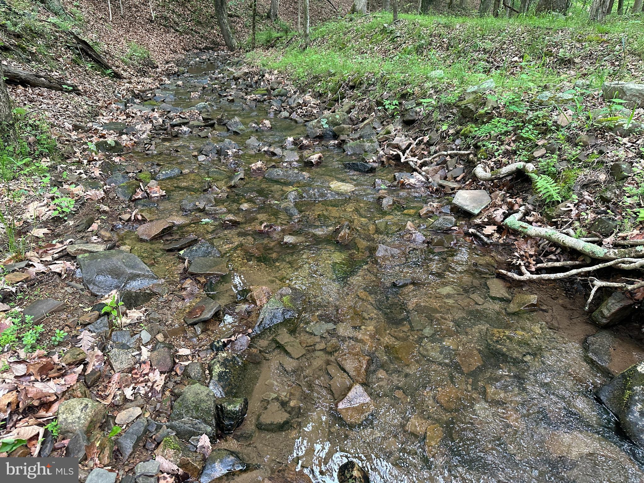 BLUFFS ON THE POTOMAC - Land
