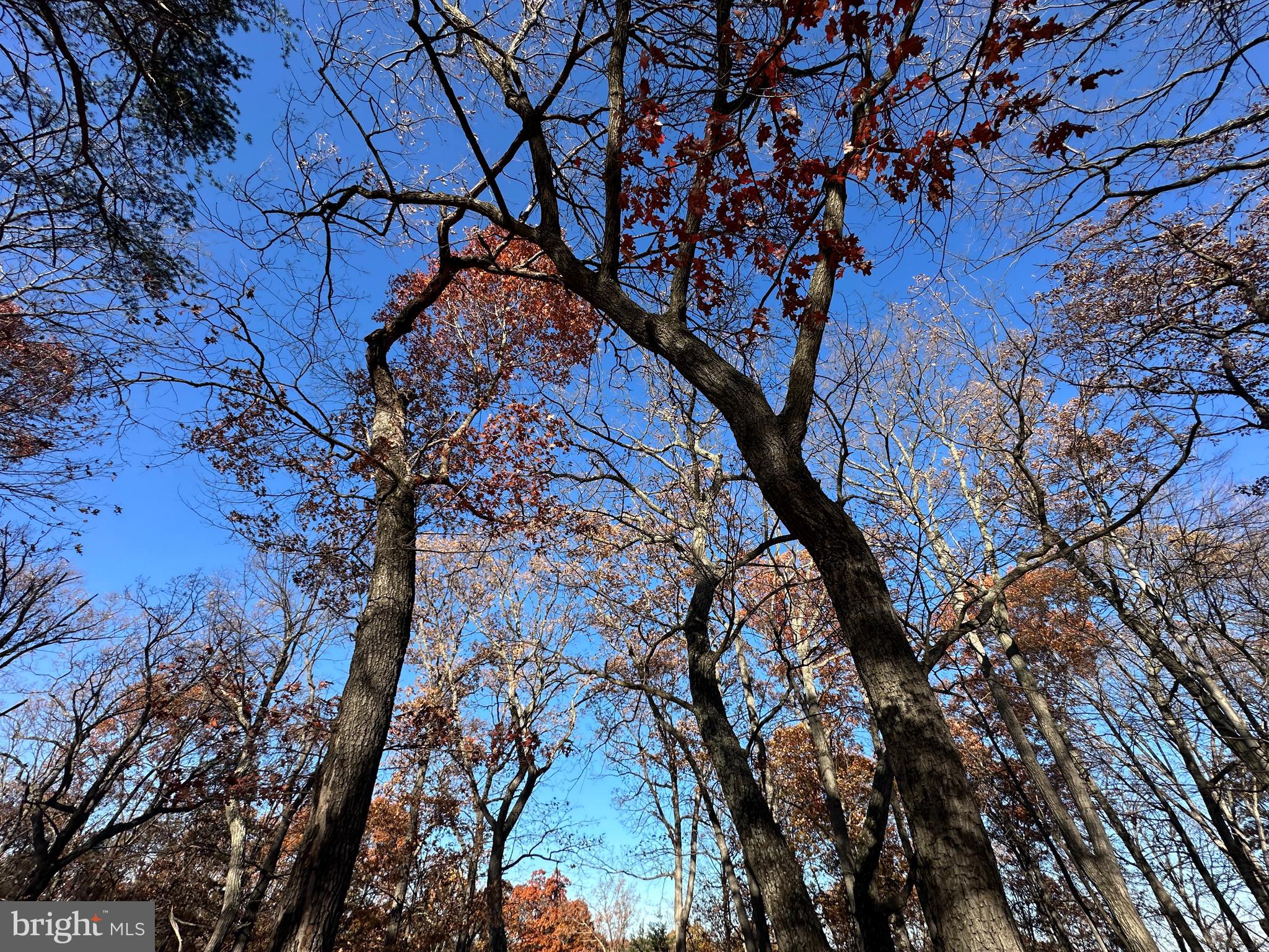 BLUFFS ON THE POTOMAC - Land