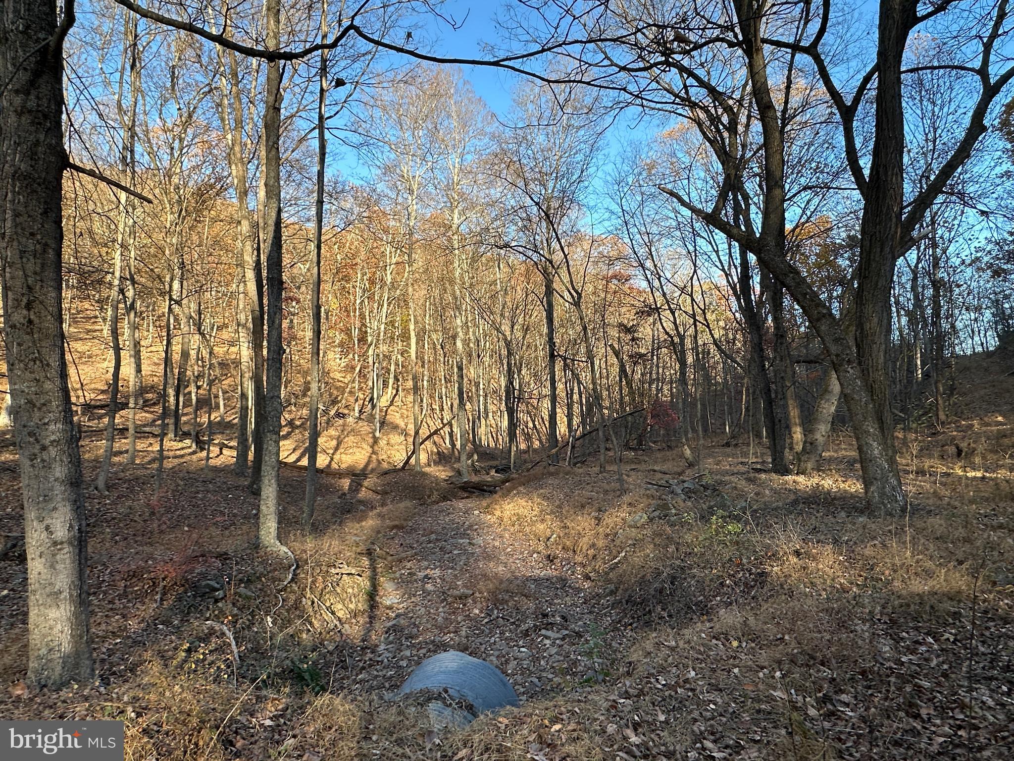 BLUFFS ON THE POTOMAC - Land
