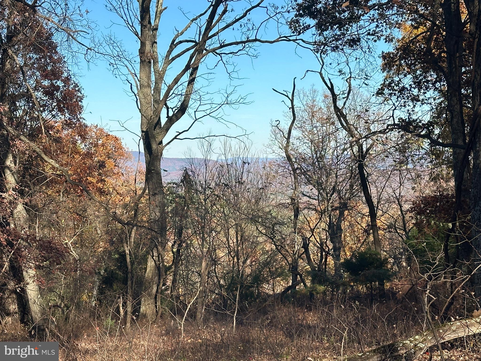 221 & 222 BLUFFS ON THE POTOMAC
