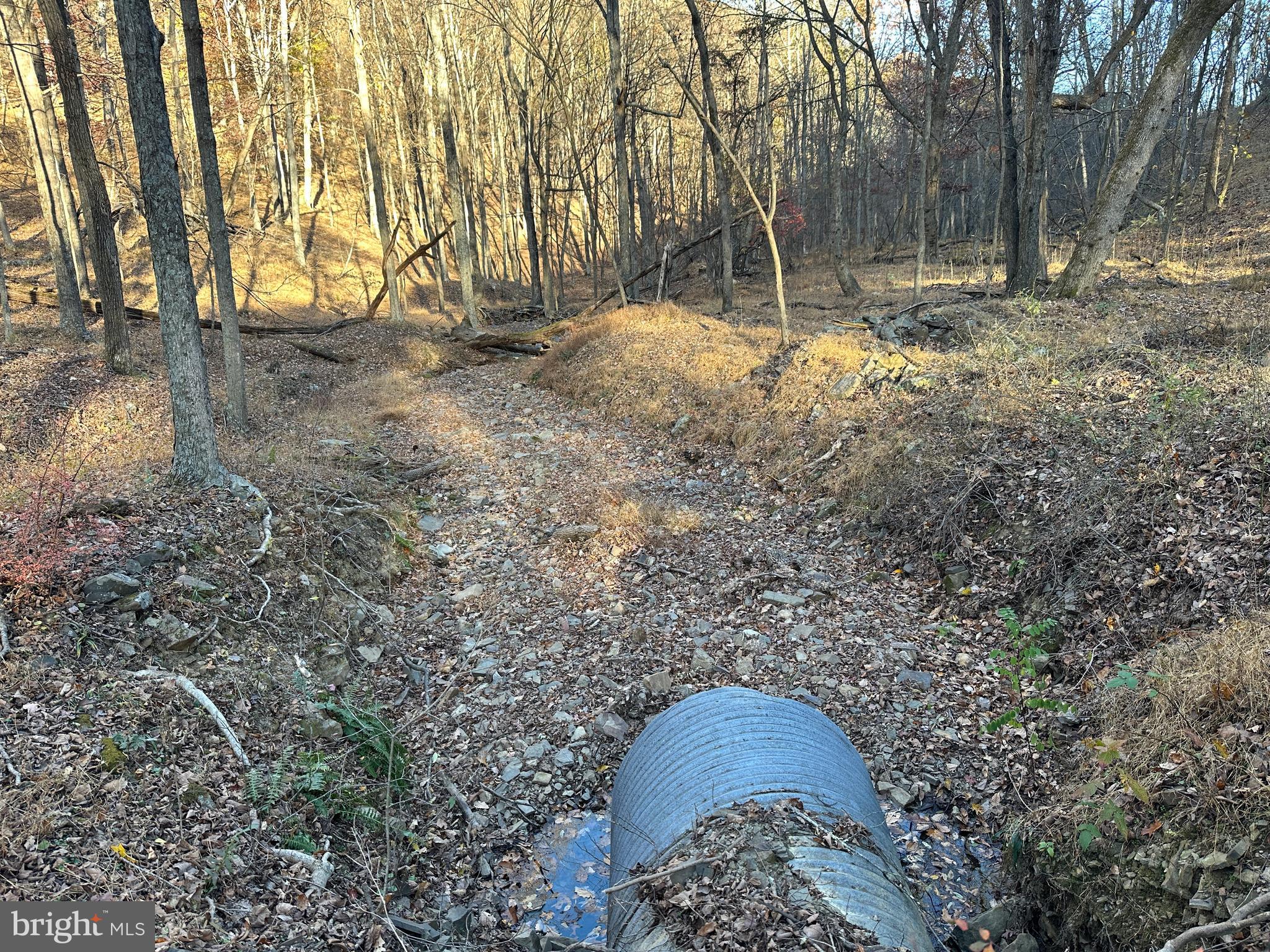 BLUFFS ON THE POTOMAC - Land