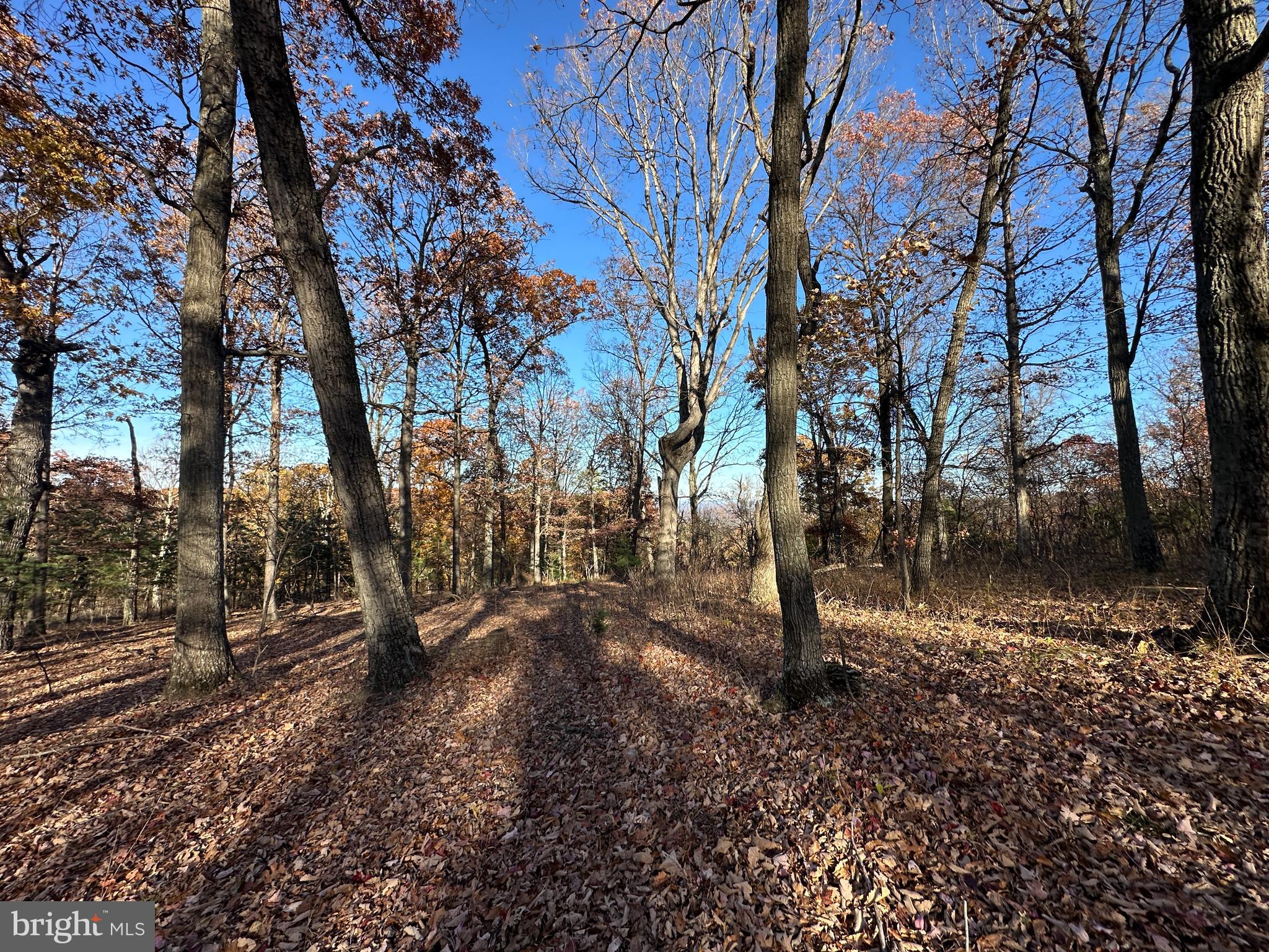 BLUFFS ON THE POTOMAC - Land