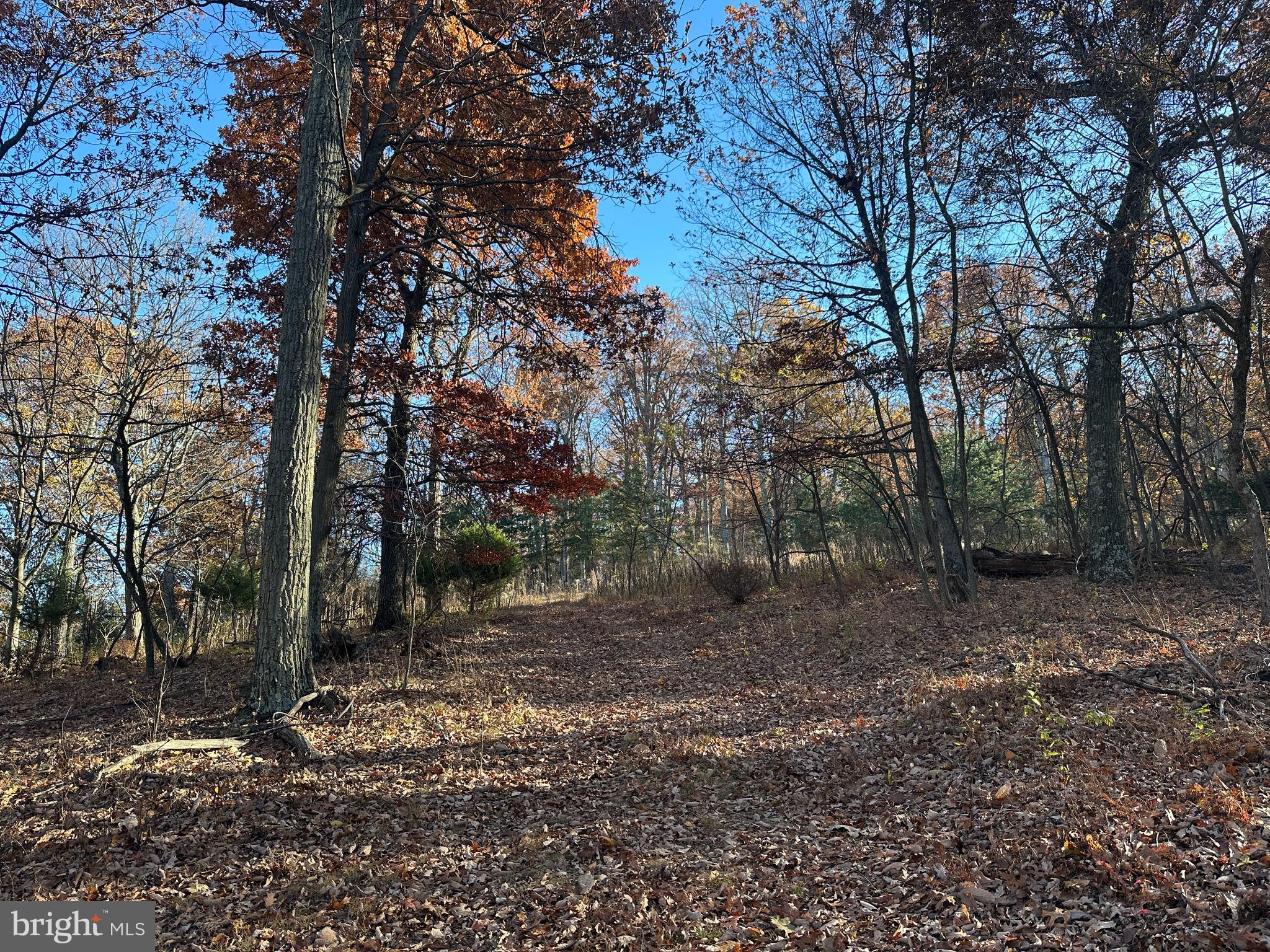 BLUFFS ON THE POTOMAC - Land