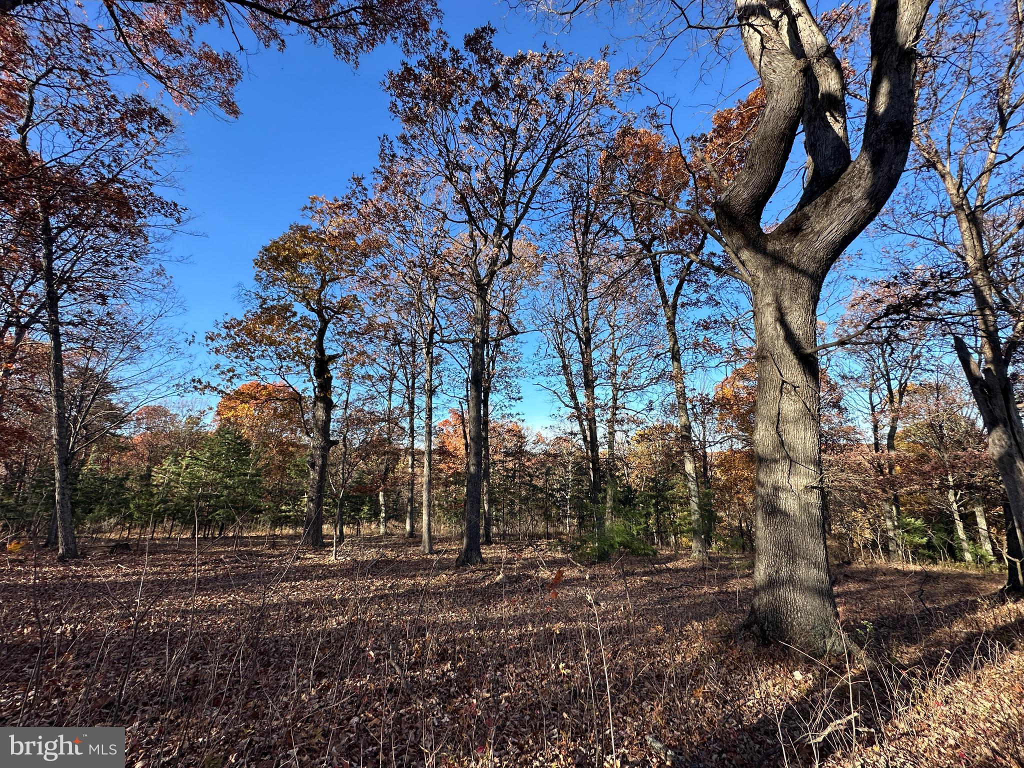 BLUFFS ON THE POTOMAC - Land