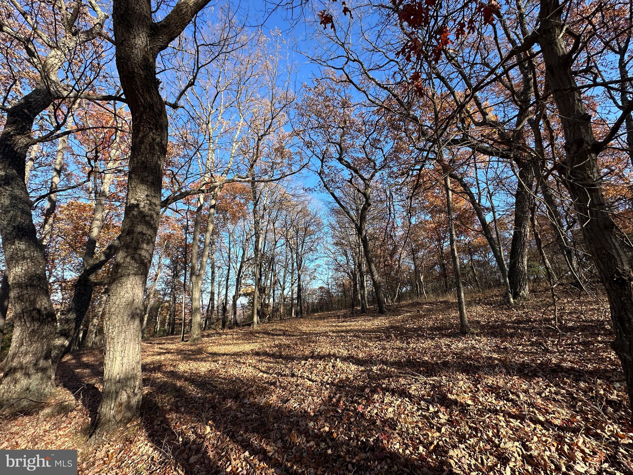 BLUFFS ON THE POTOMAC - Land
