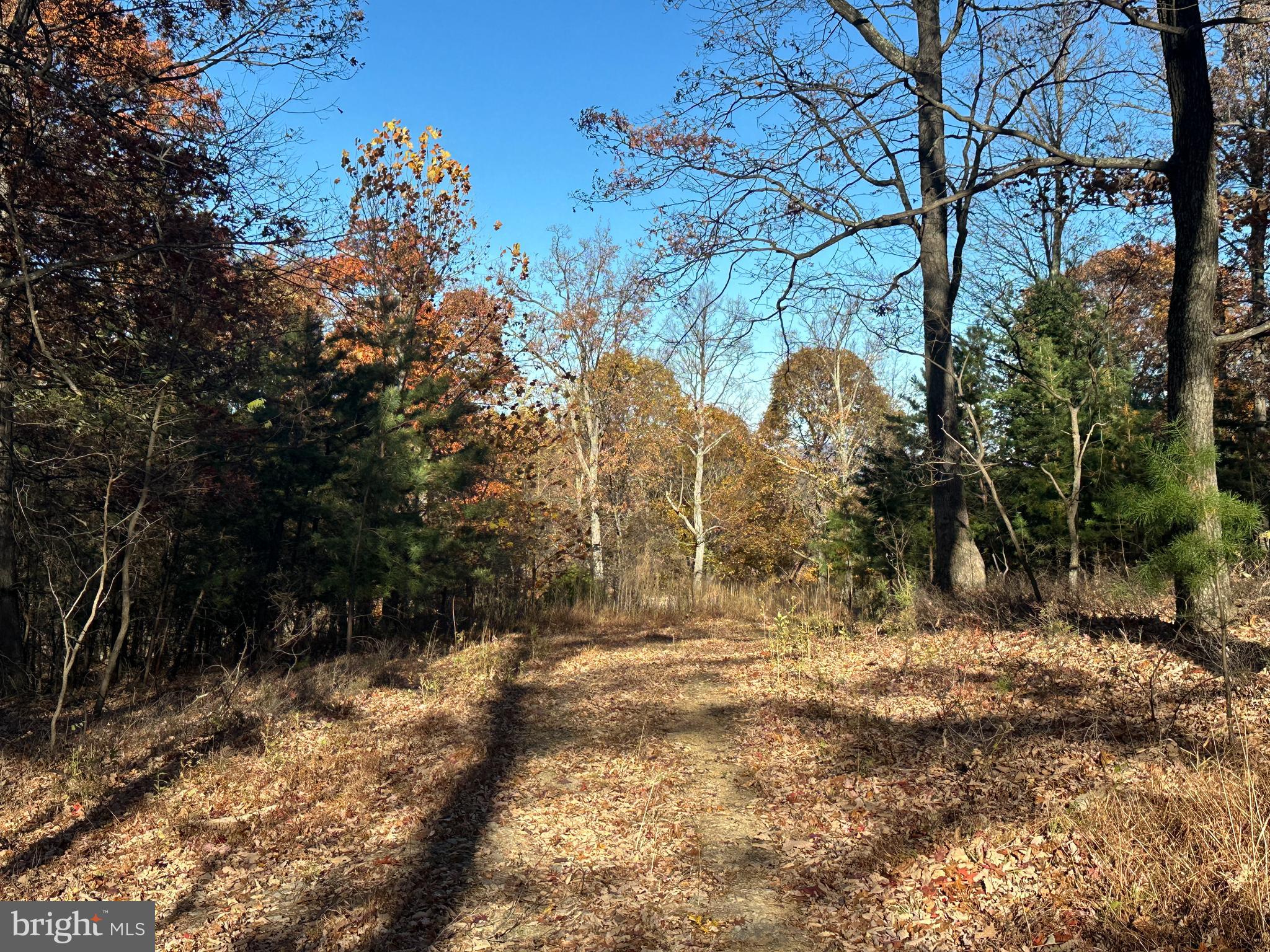BLUFFS ON THE POTOMAC - Land
