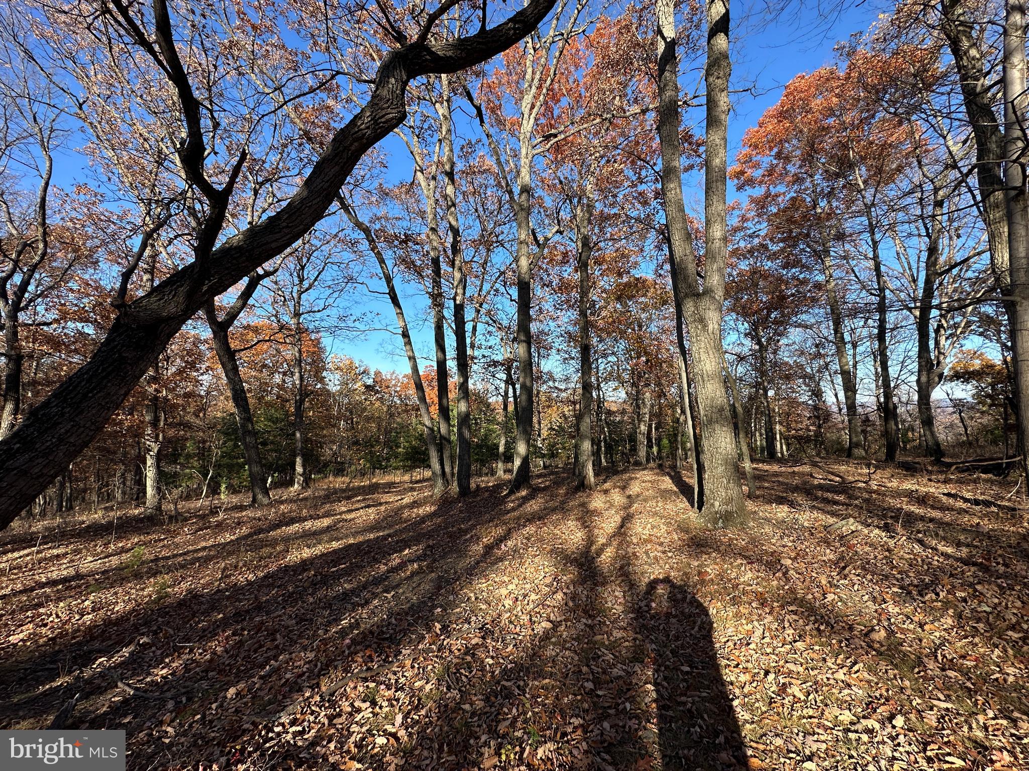 BLUFFS ON THE POTOMAC - Land