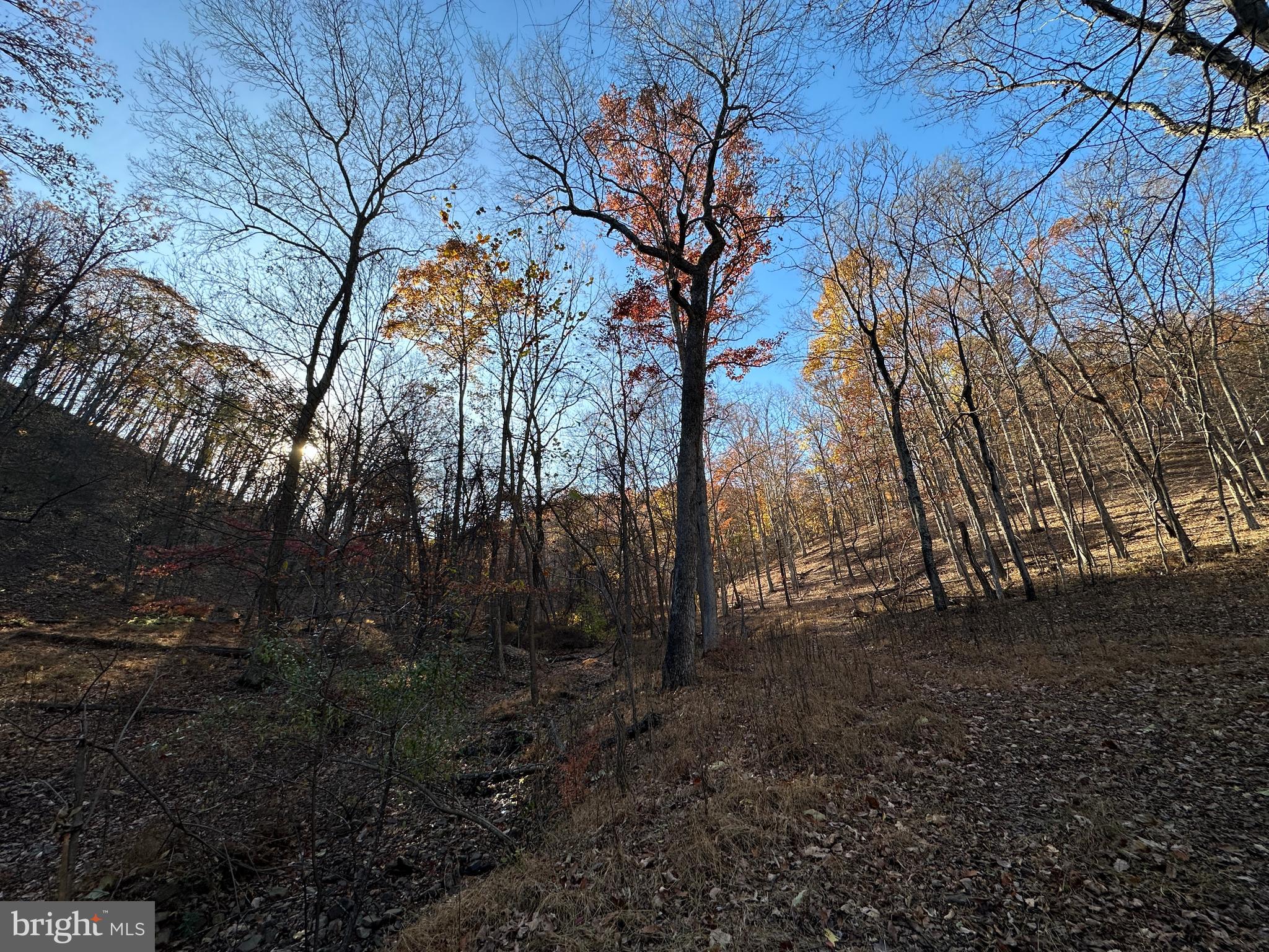 BLUFFS ON THE POTOMAC - Land