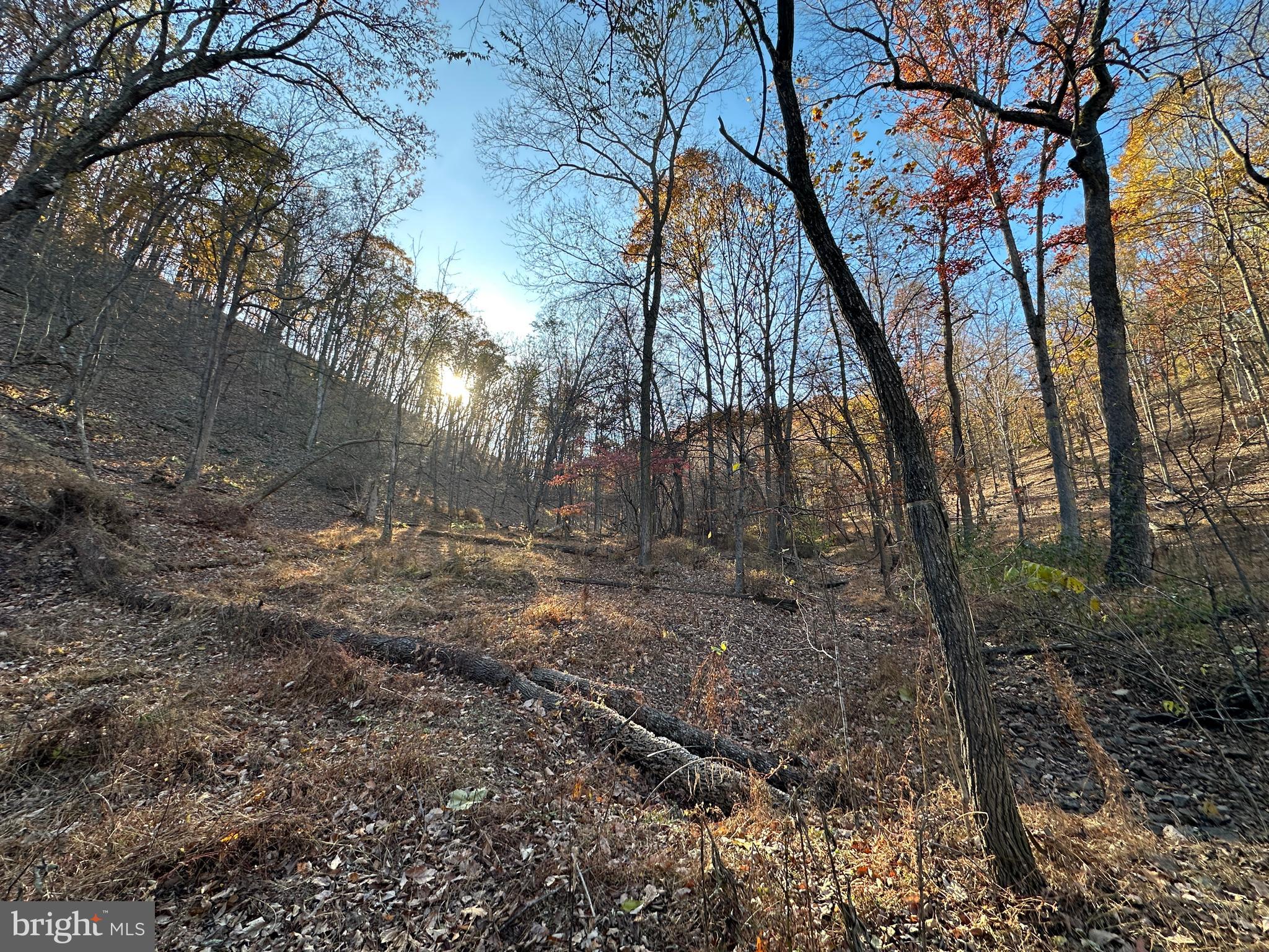 BLUFFS ON THE POTOMAC - Land