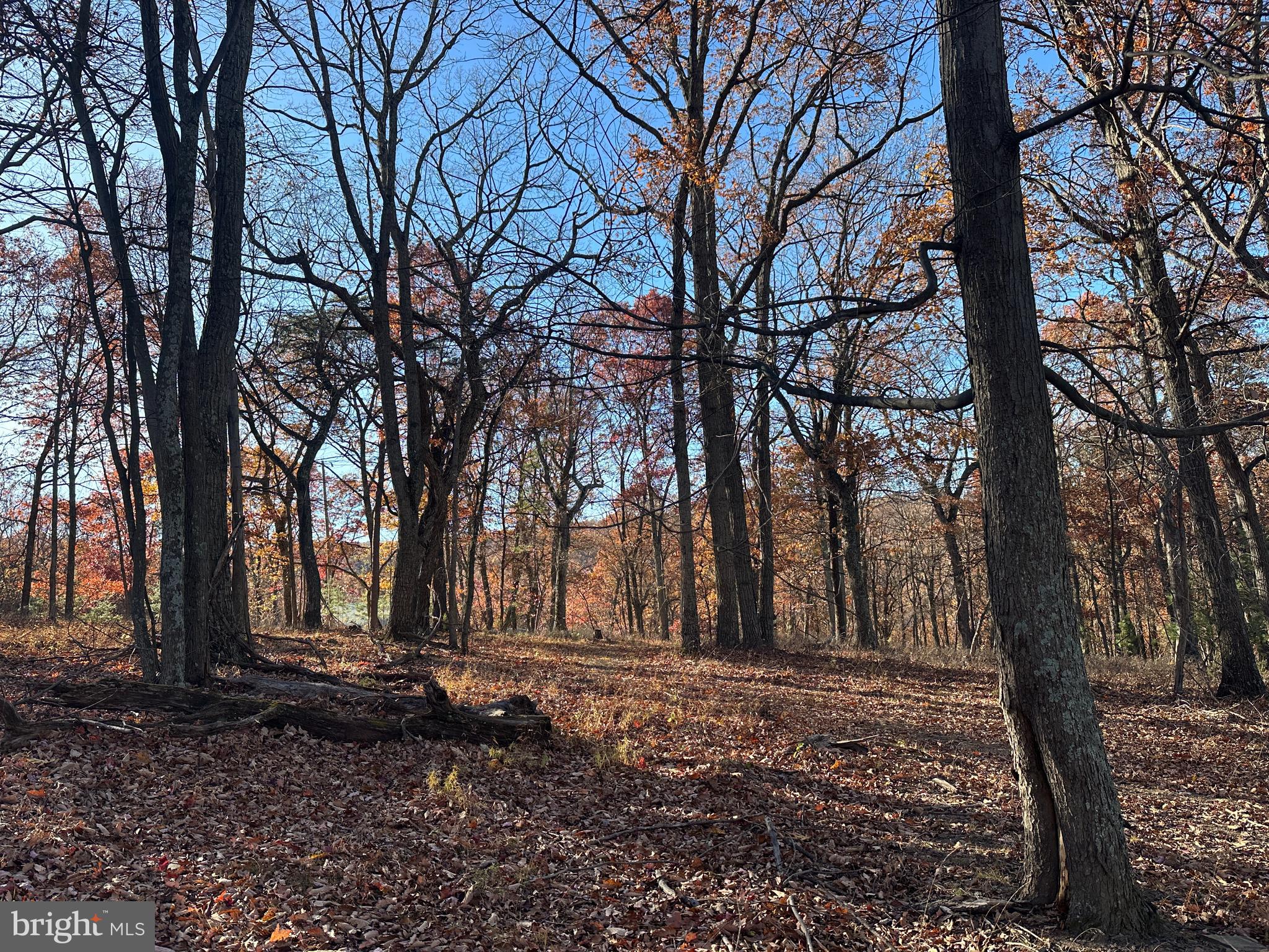 BLUFFS ON THE POTOMAC - Land