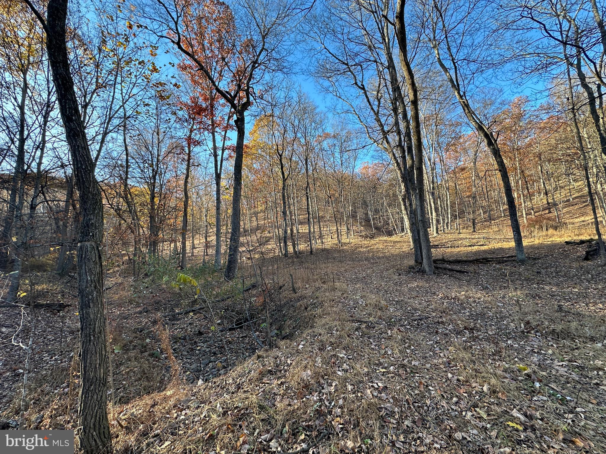 BLUFFS ON THE POTOMAC - Land