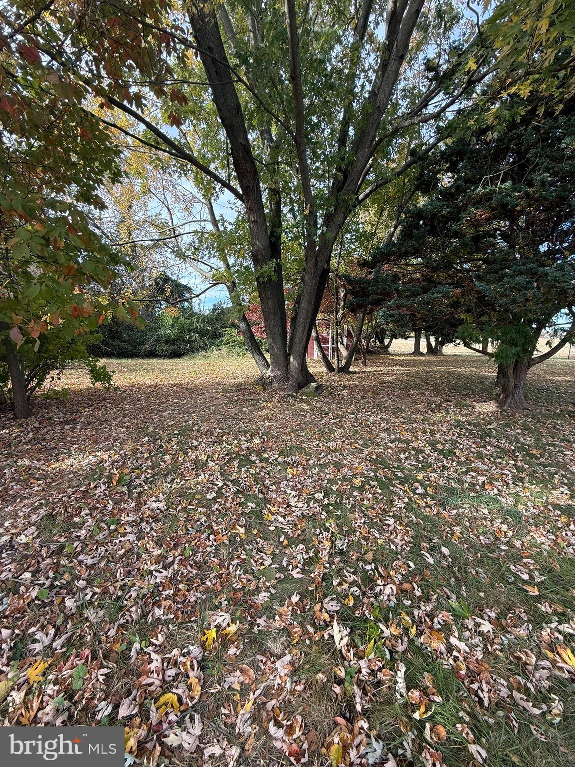 CLOVERFIELDS - Residential