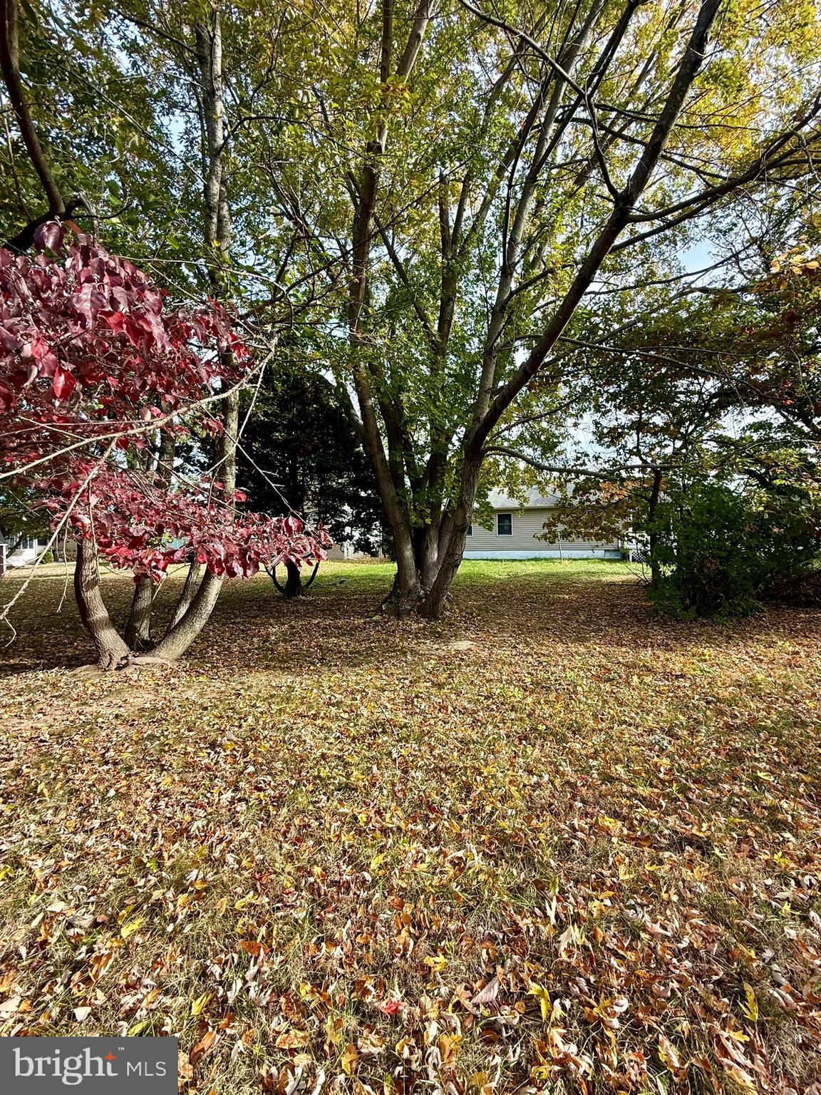 CLOVERFIELDS - Residential