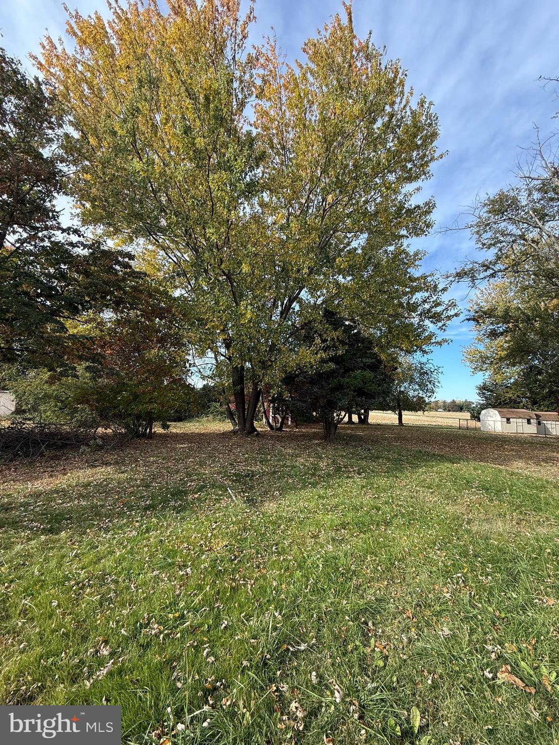 CLOVERFIELDS - Residential