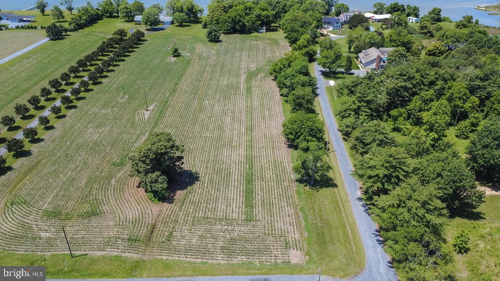 Additional image 8 of Curley, Ridge, MD 20680
