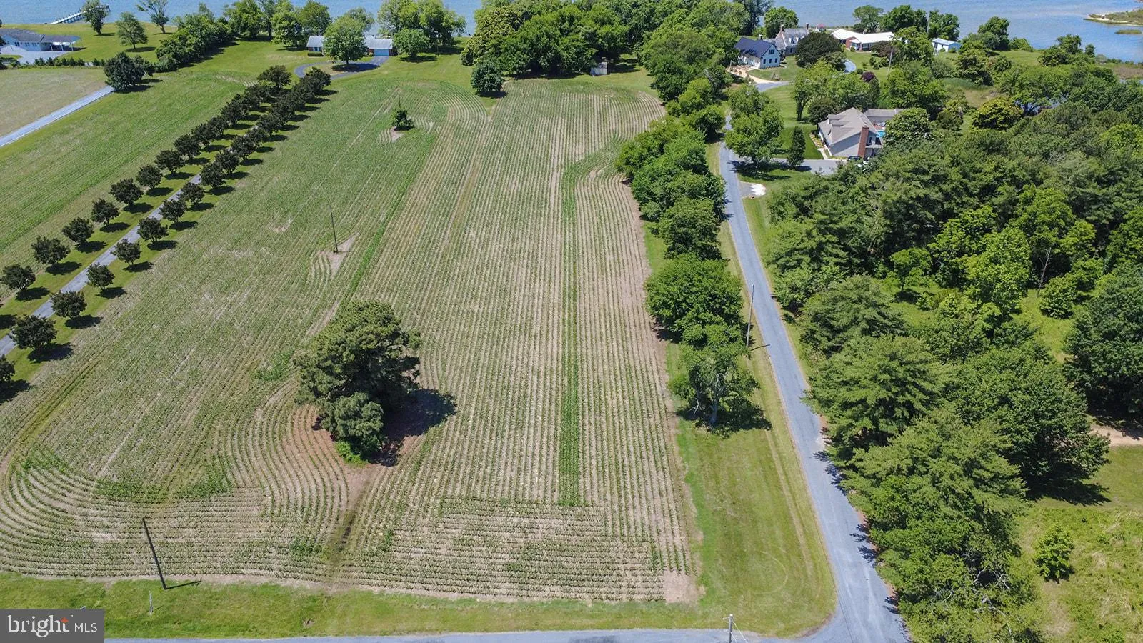 Additional image 20 of Curley, Ridge, MD 20680