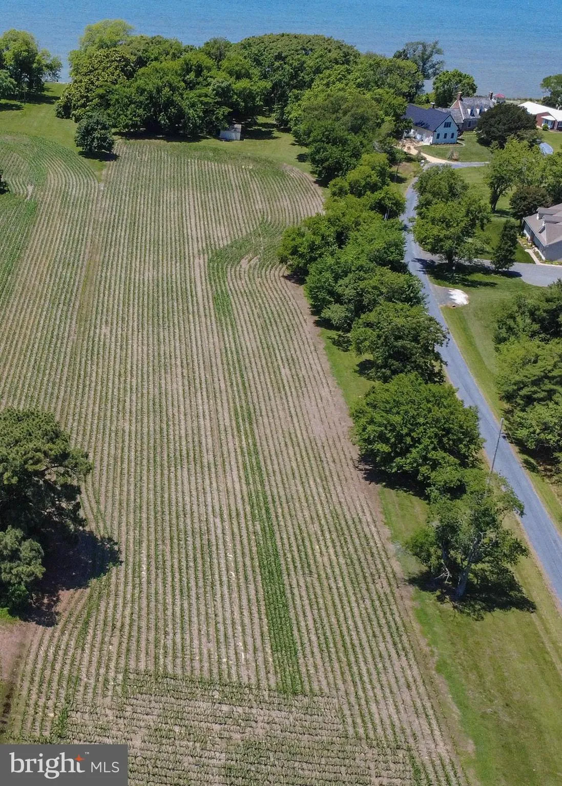 Additional image 23 of Curley, Ridge, MD 20680