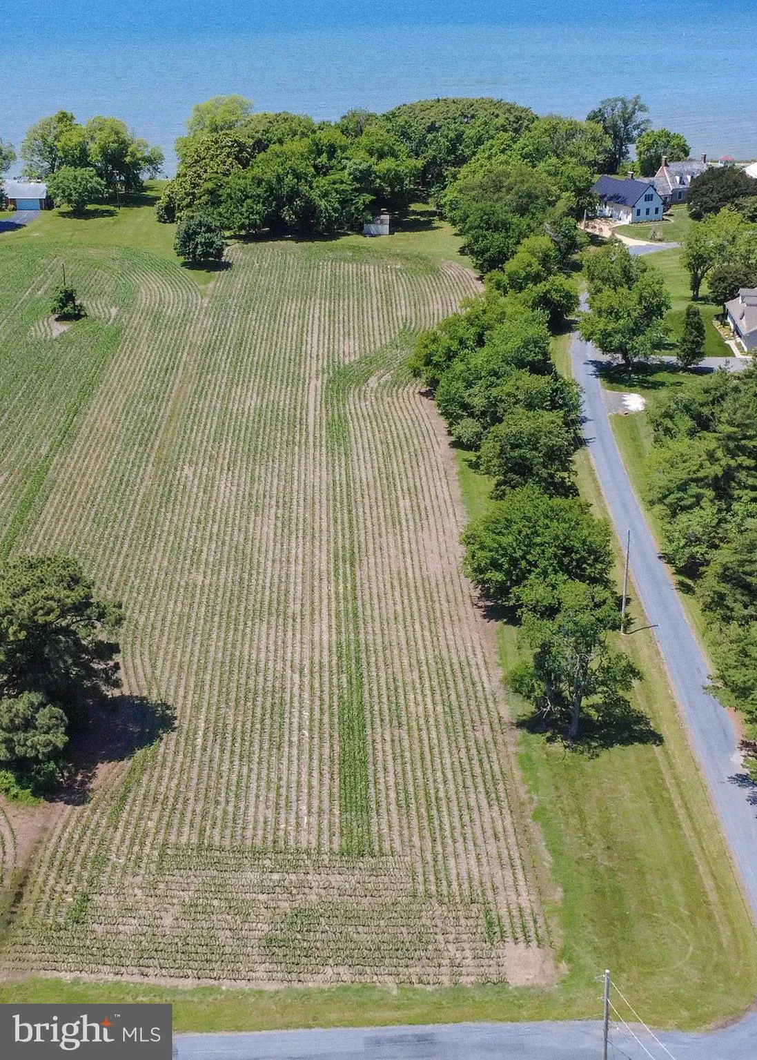 Additional image 18 of Curley, Ridge, MD 20680