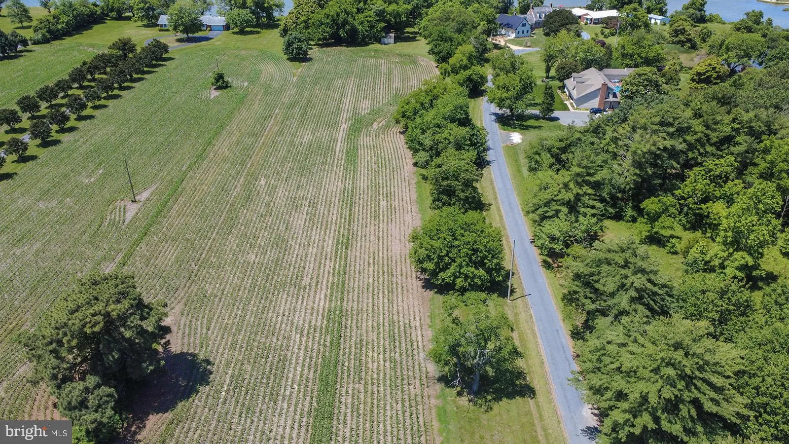 Additional image 19 of Curley, Ridge, MD 20680