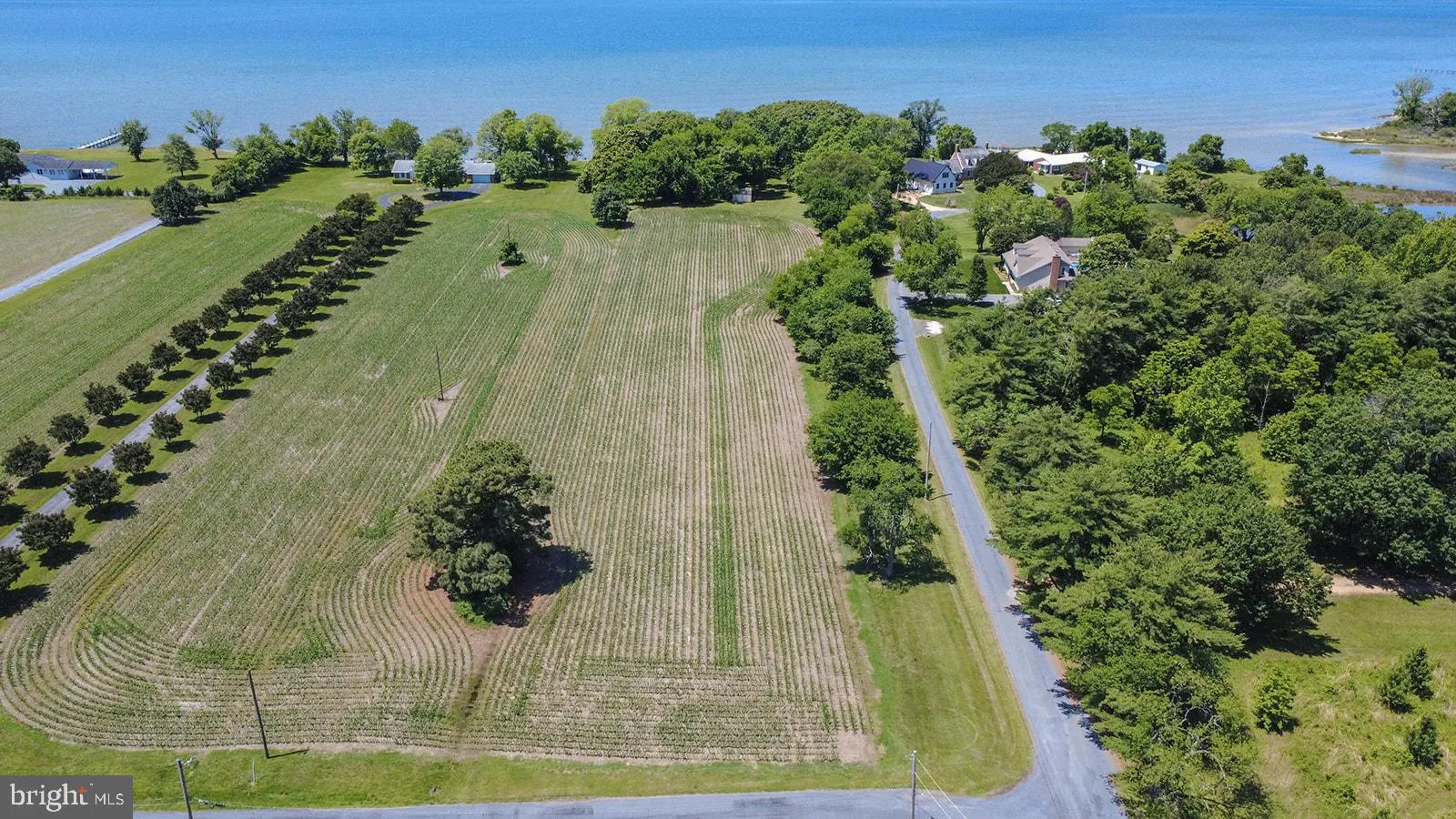 Additional image 16 of Curley, Ridge, MD 20680