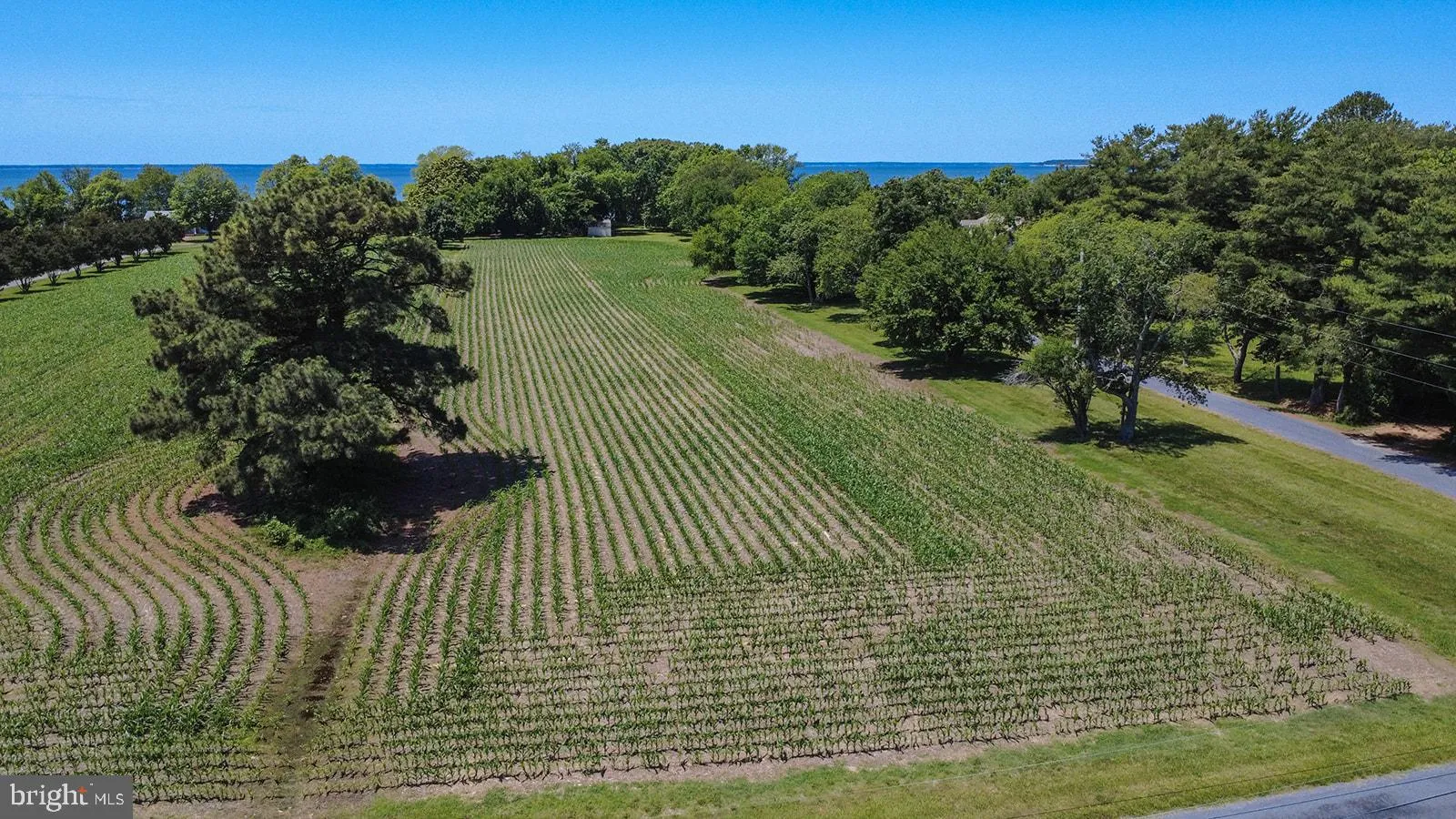 Additional image 14 of Curley, Ridge, MD 20680