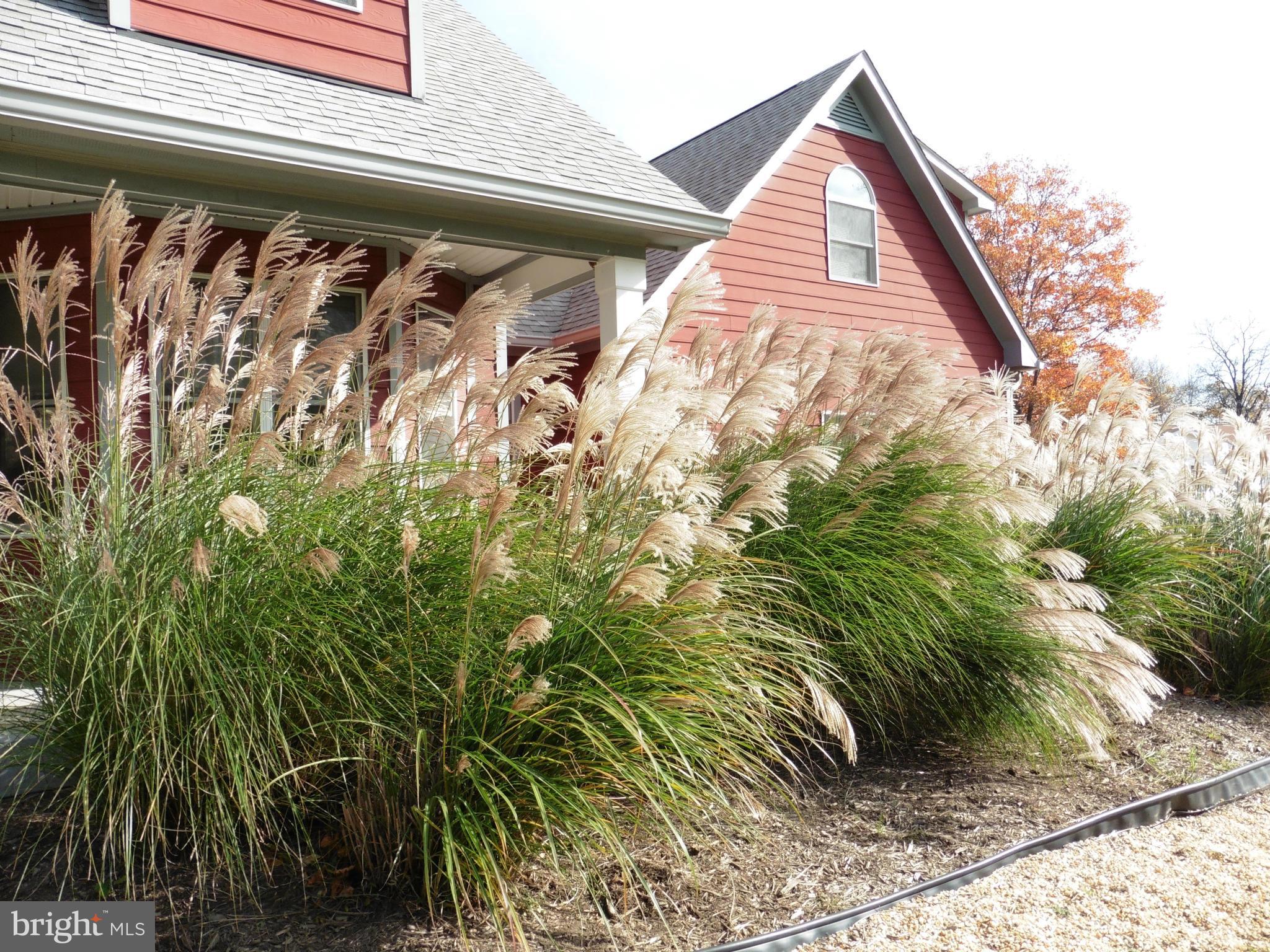 SKYLINE ORCHARDS - Residential Lease