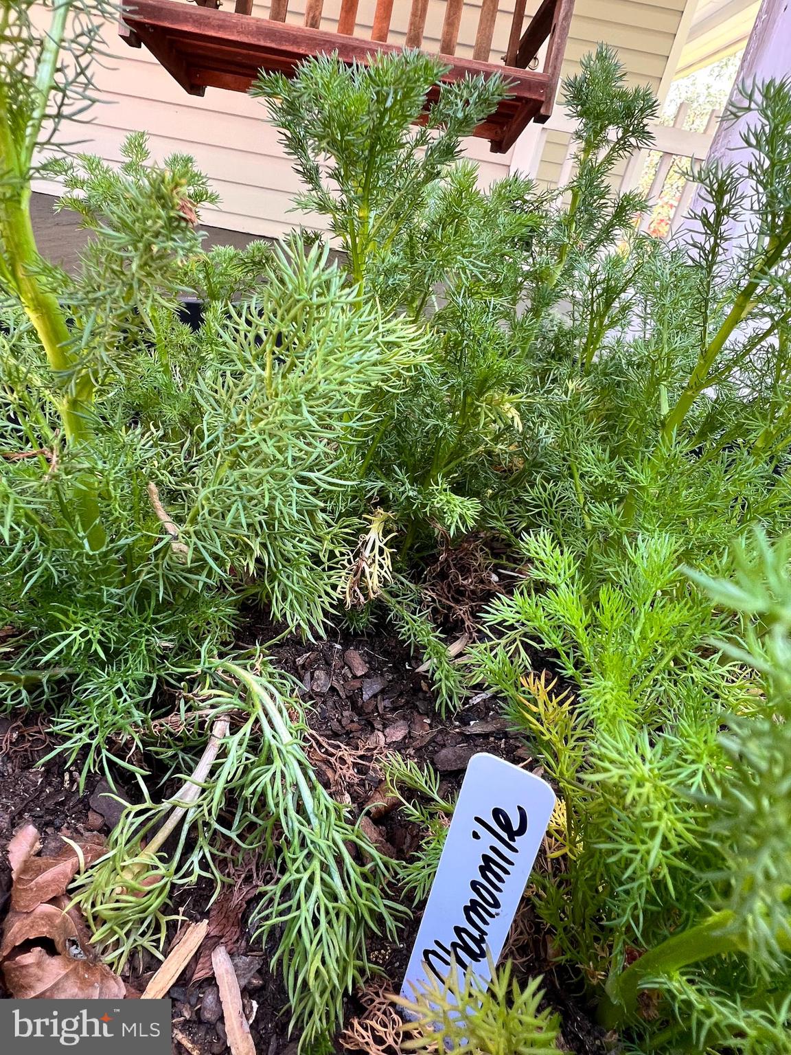 GREEN GABLES - Residential