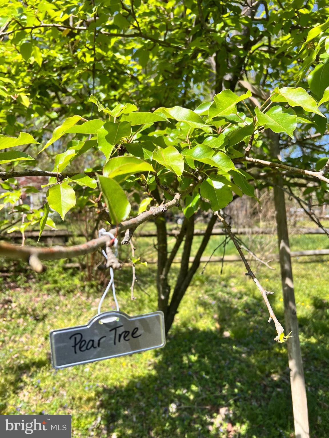 GREEN GABLES - Residential
