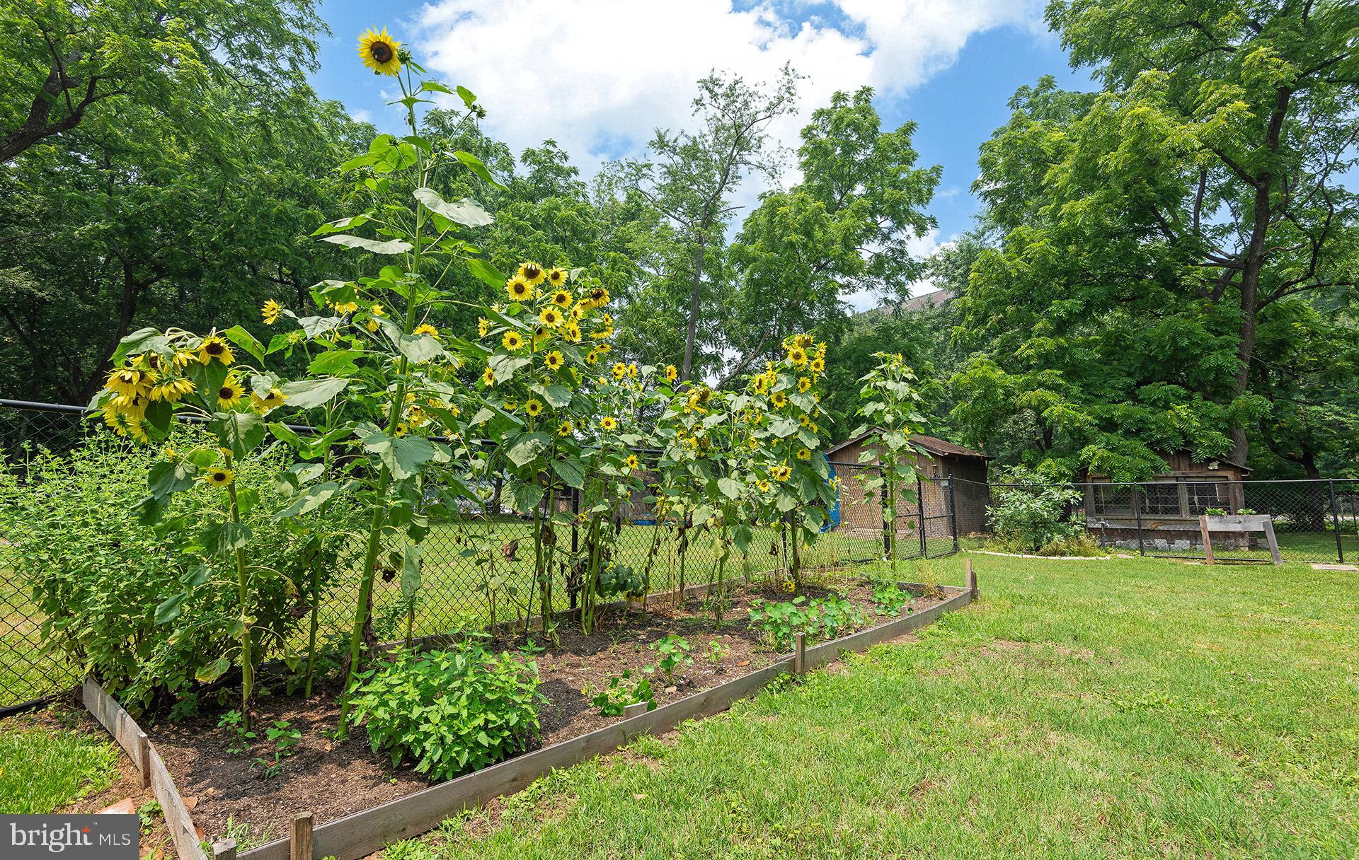 GREEN GABLES - Residential
