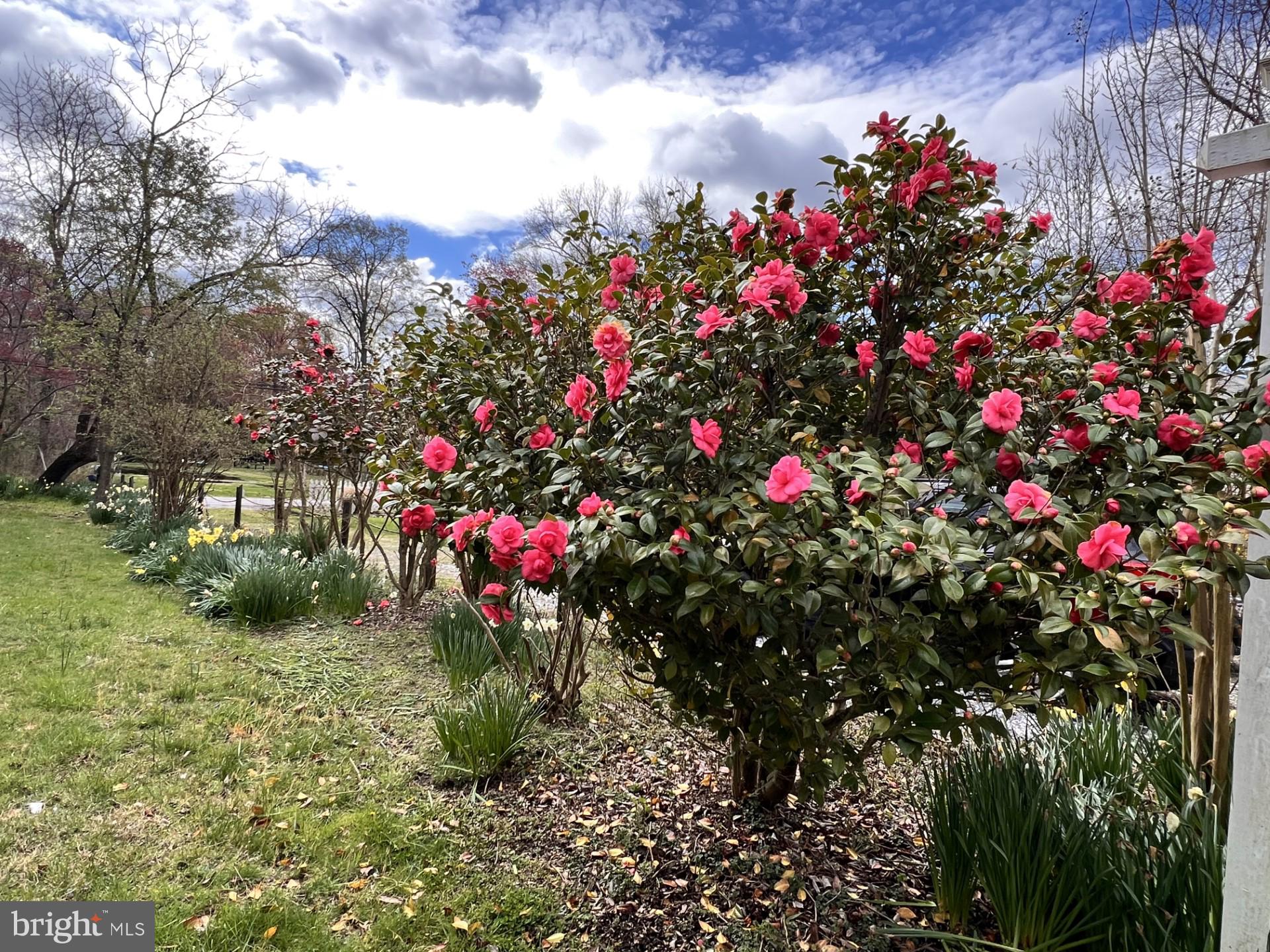 GREEN GABLES - Residential